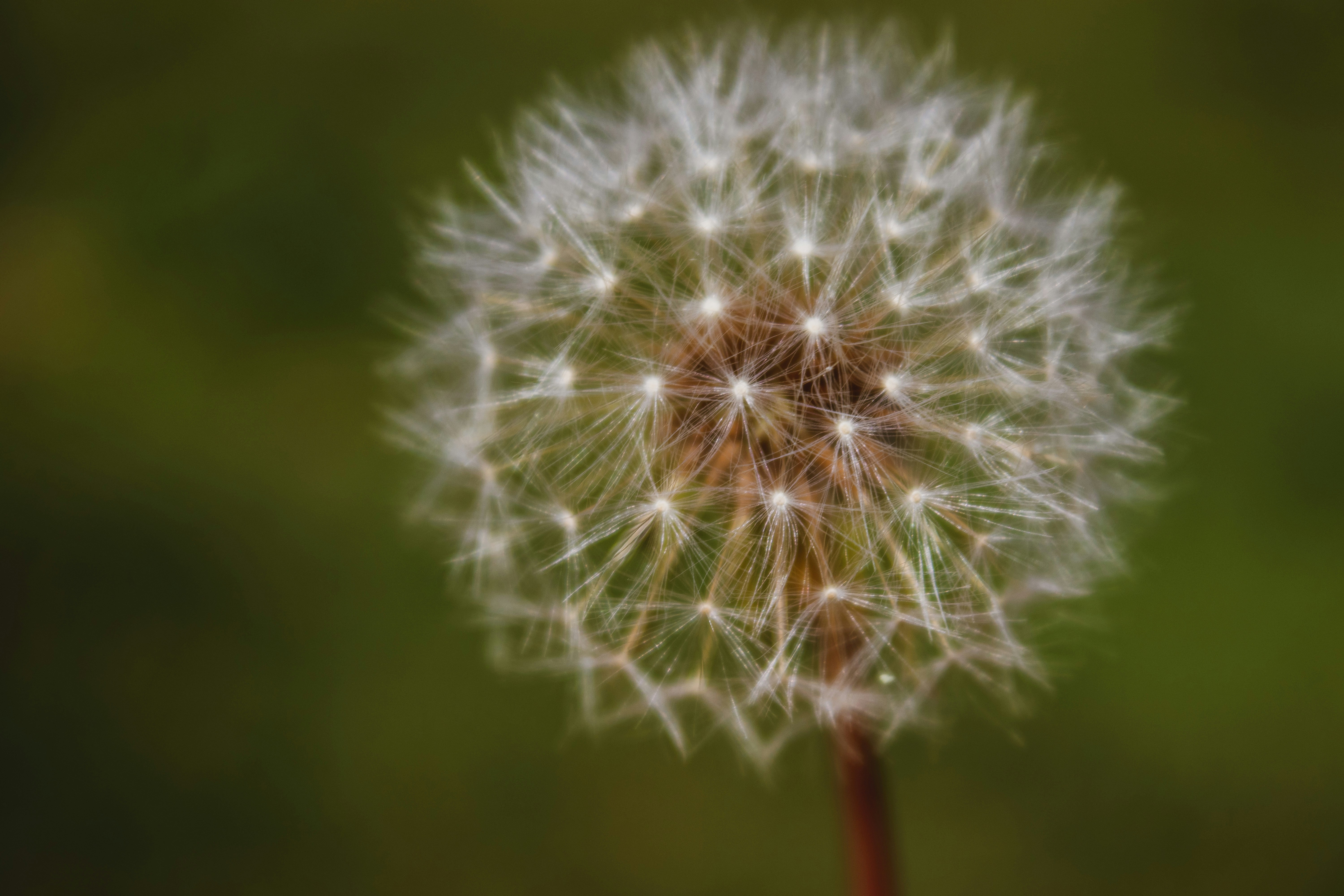 Photo by anafsvieira