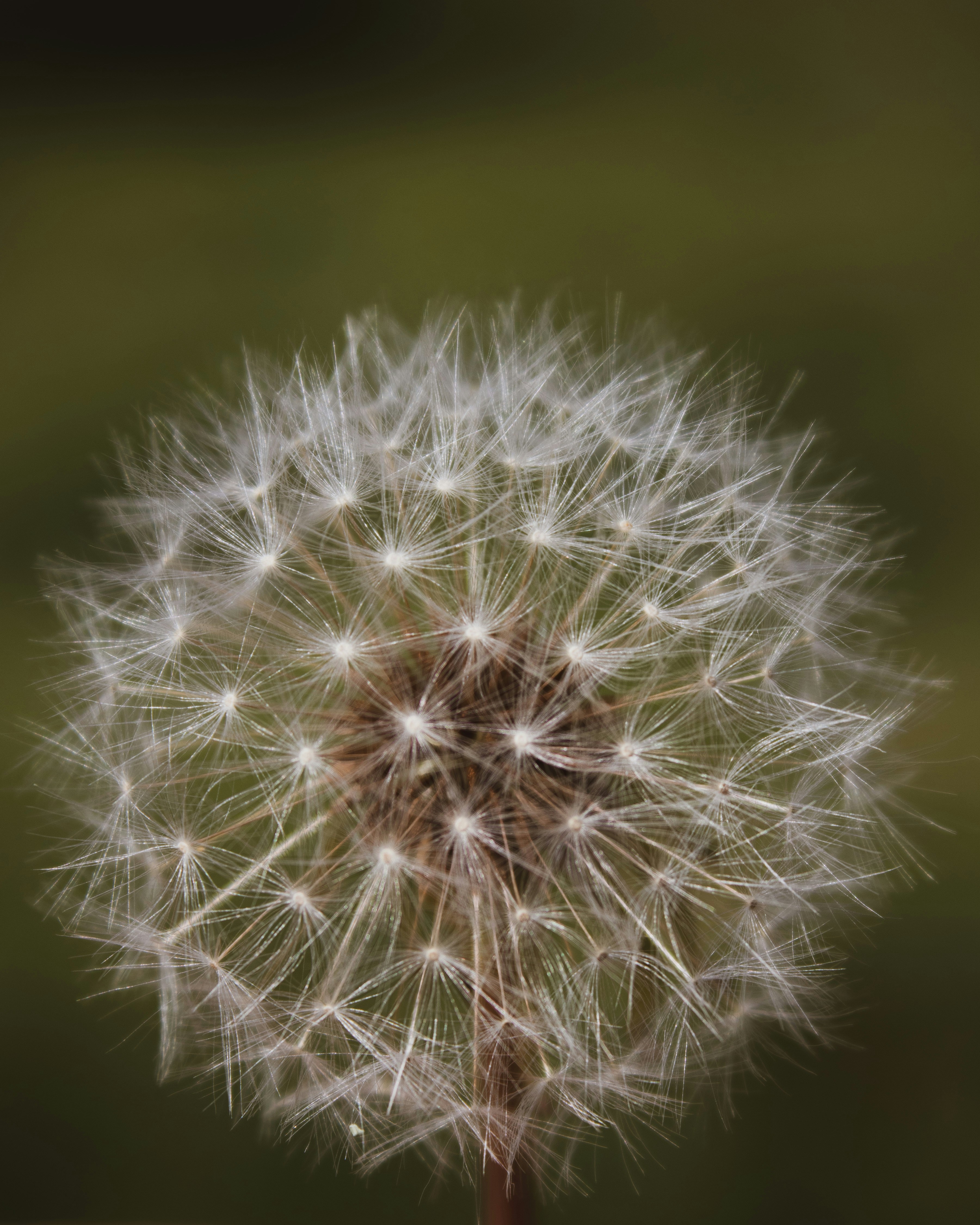 Photo by anafsvieira