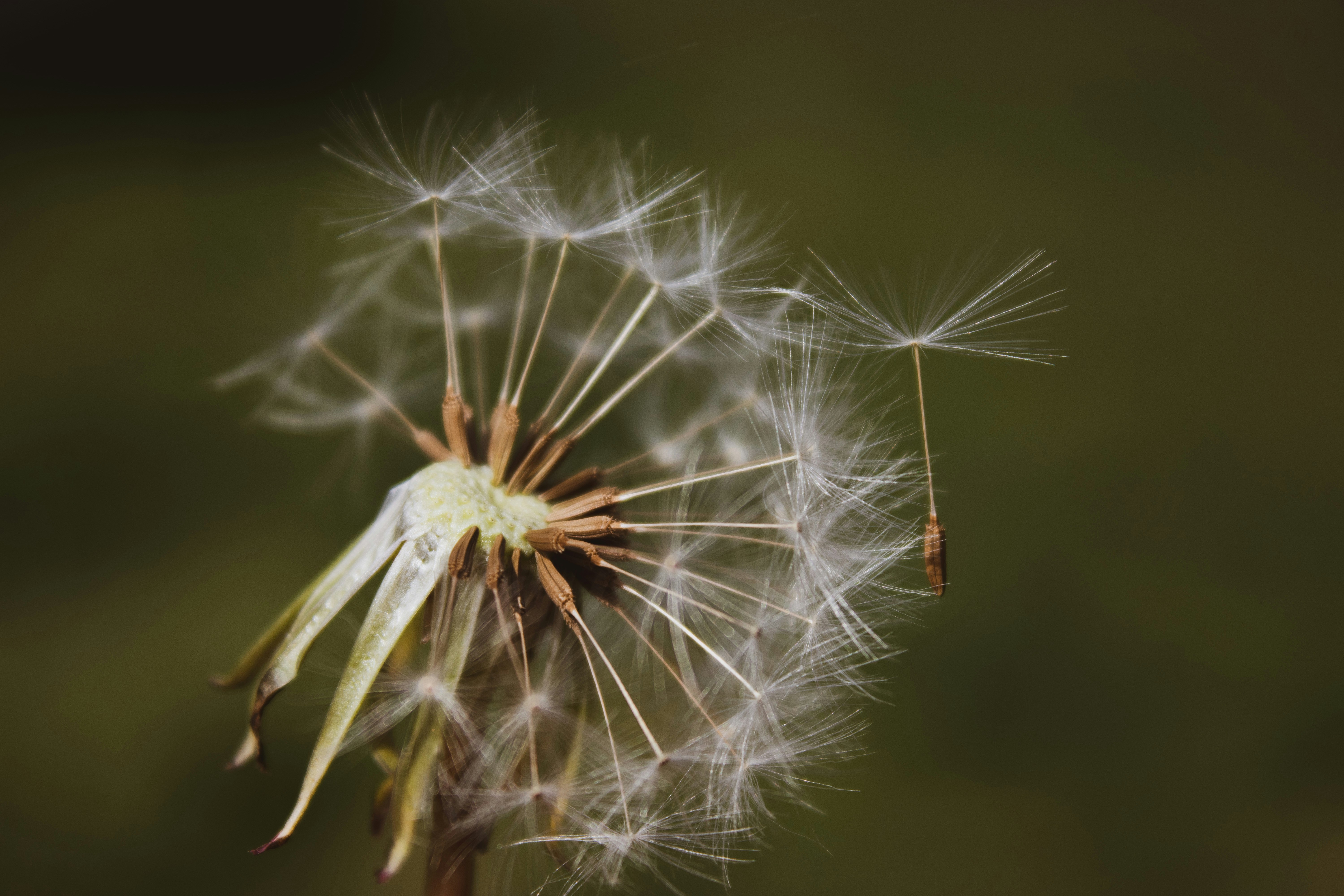 Photo by anafsvieira