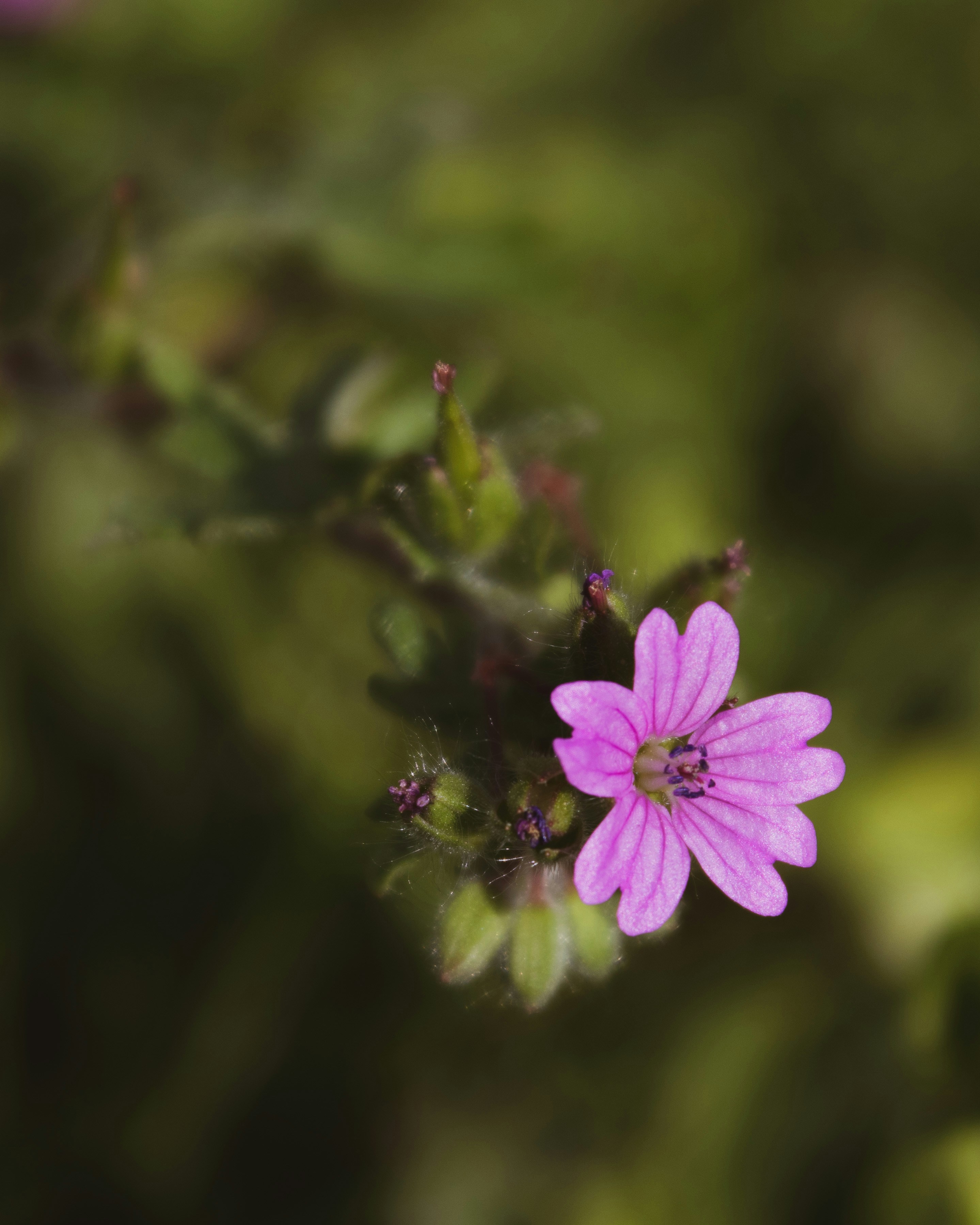 Photo by anafsvieira