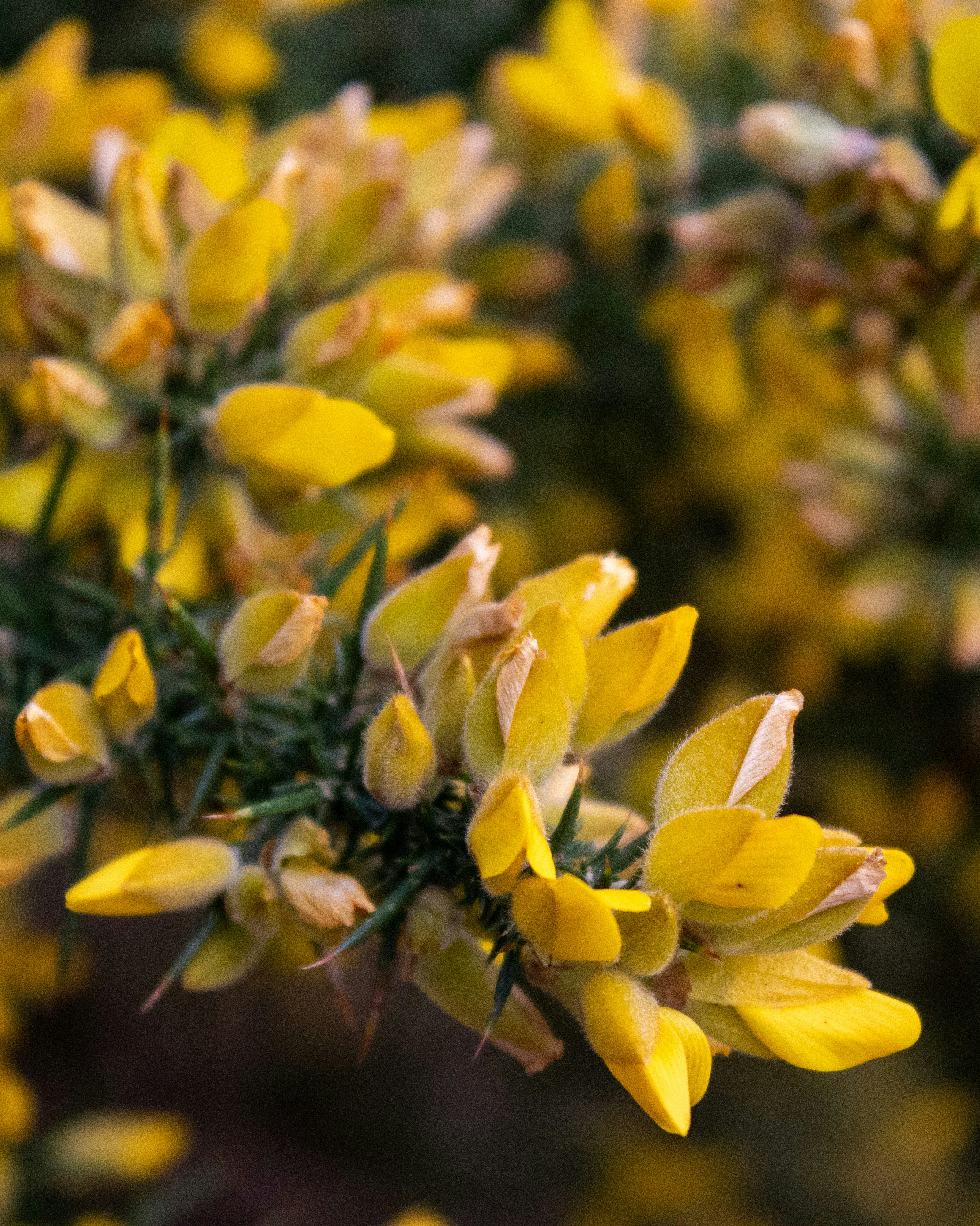 Photo by anafsvieira