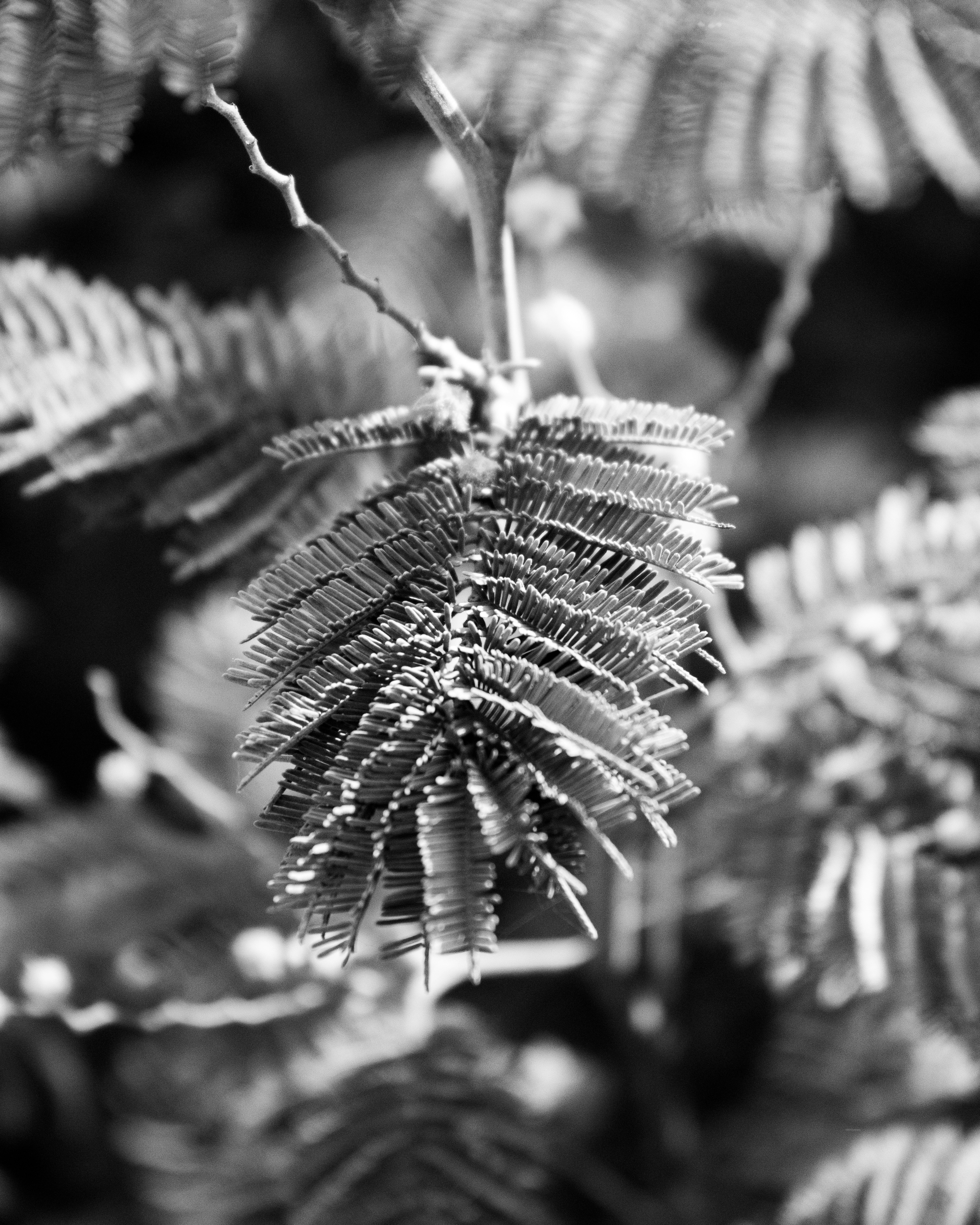 Photo by anafsvieira