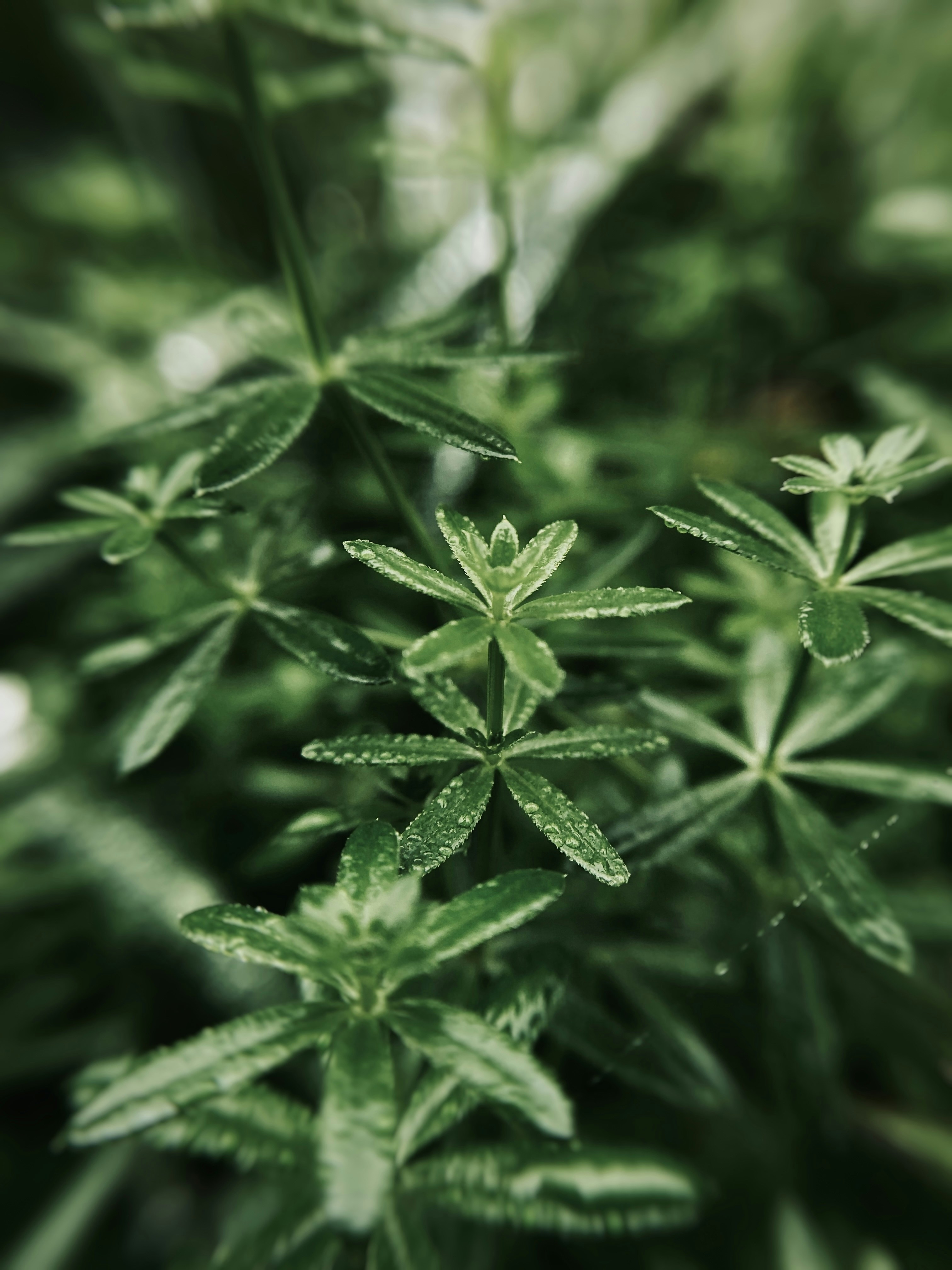 Photo by eugene_golovesov