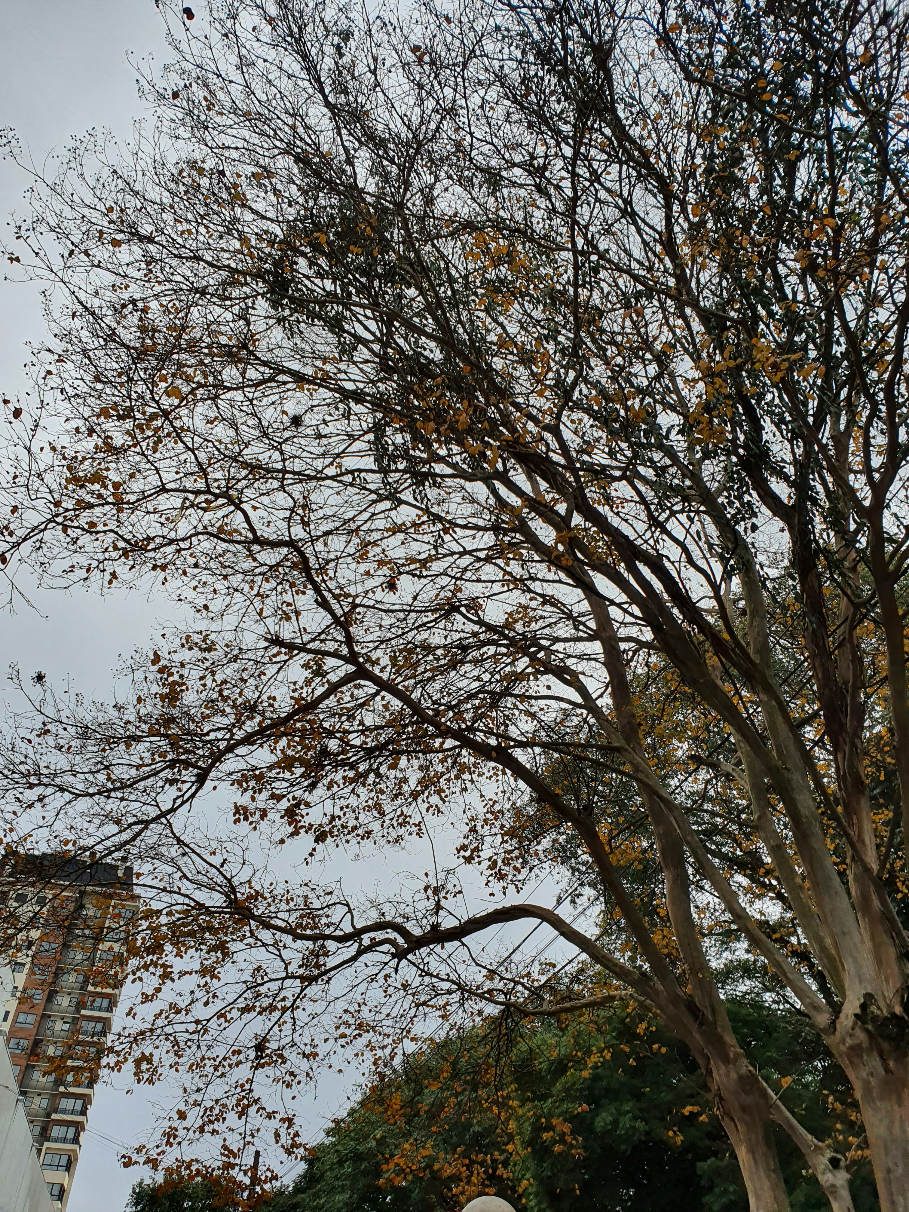 Photo by viniciusfeiten