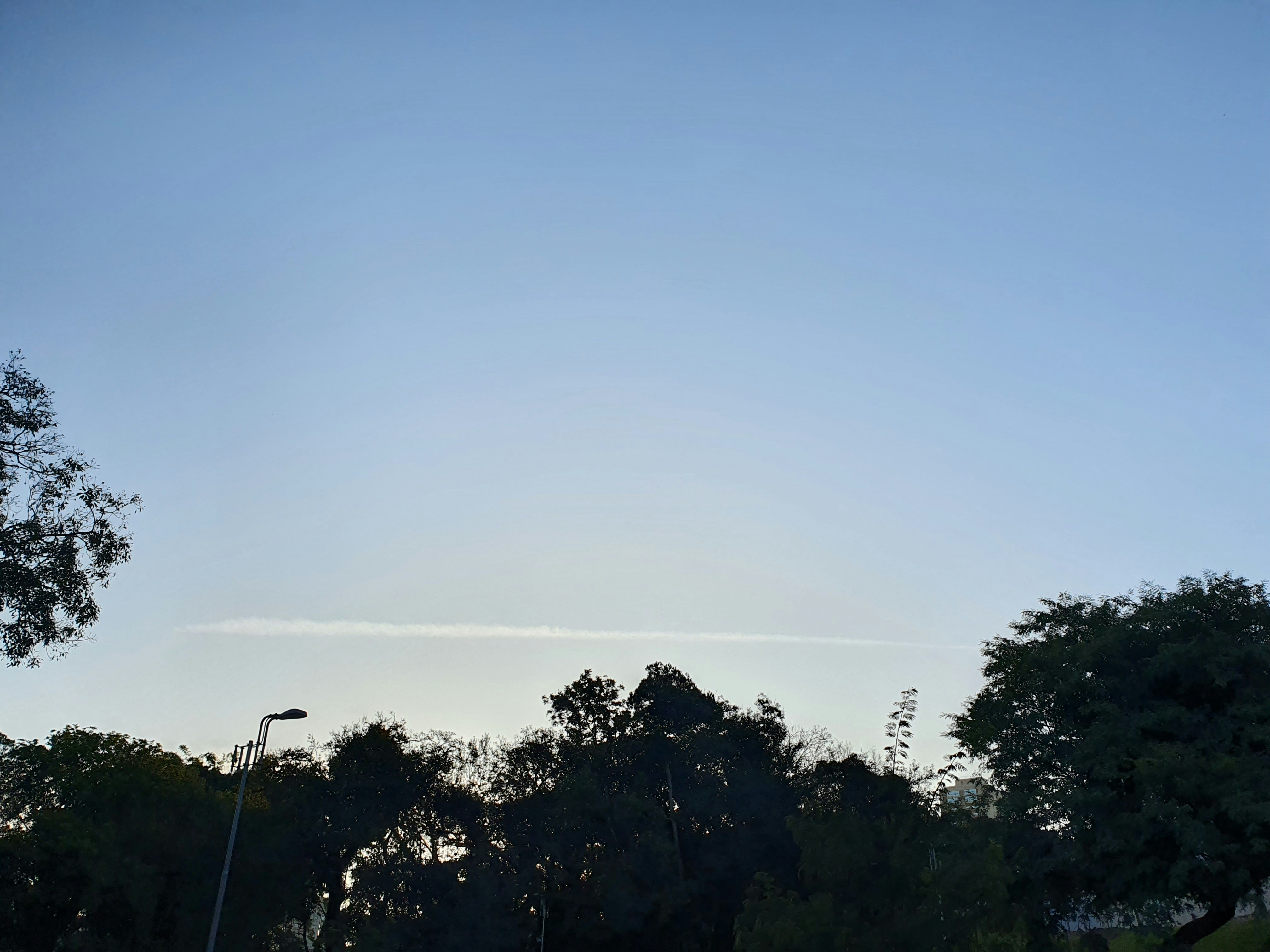 A blue sky with trees photo – Free Sky Image on Unsplash