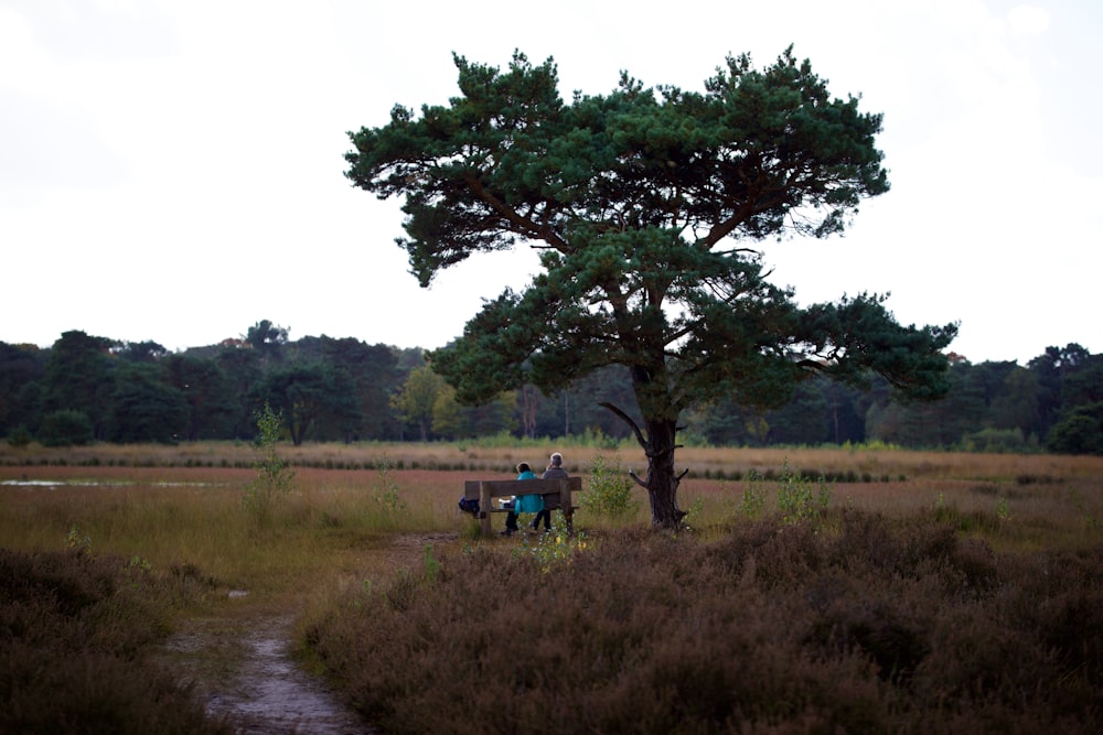 a group of people sitting on a bench in a field