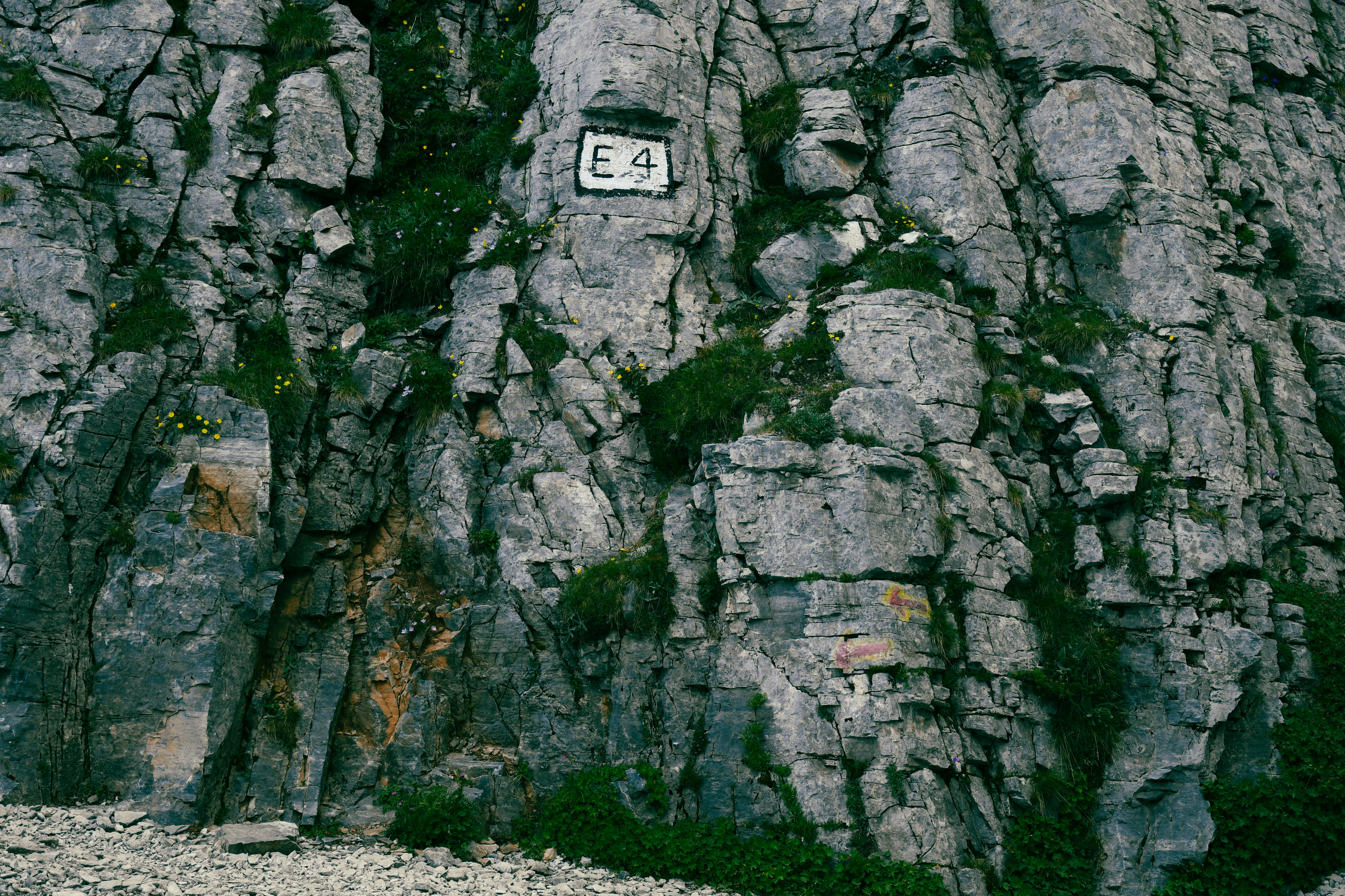 Photo by jay_raissis