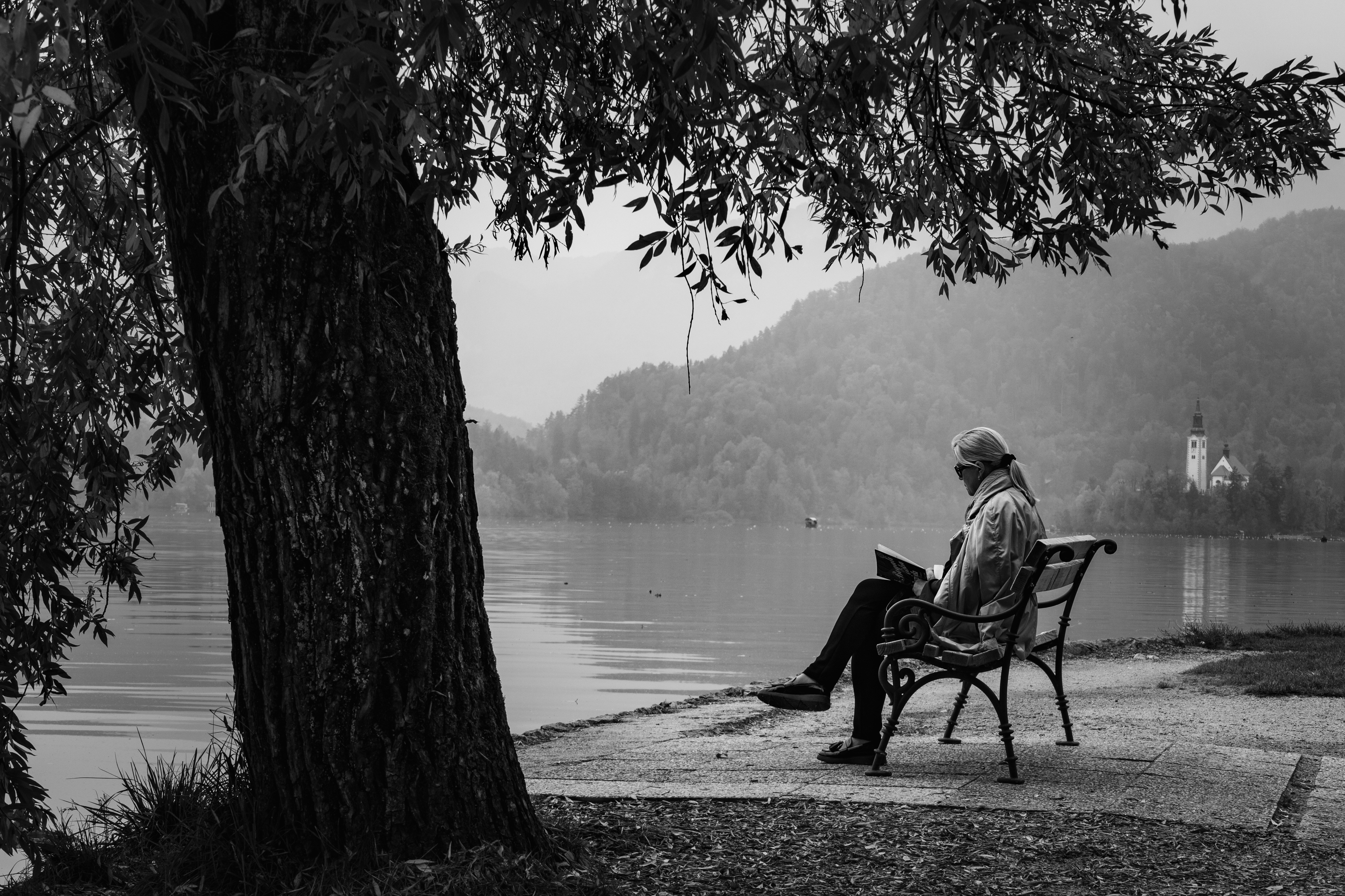 A person sitting on a bench photo – Free Bled Image on Unsplash