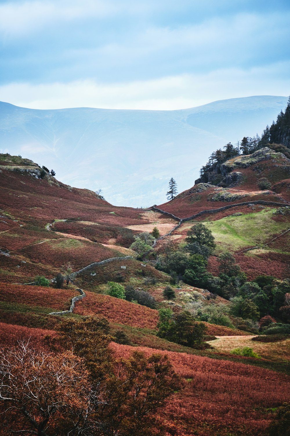 a landscape with trees and hills