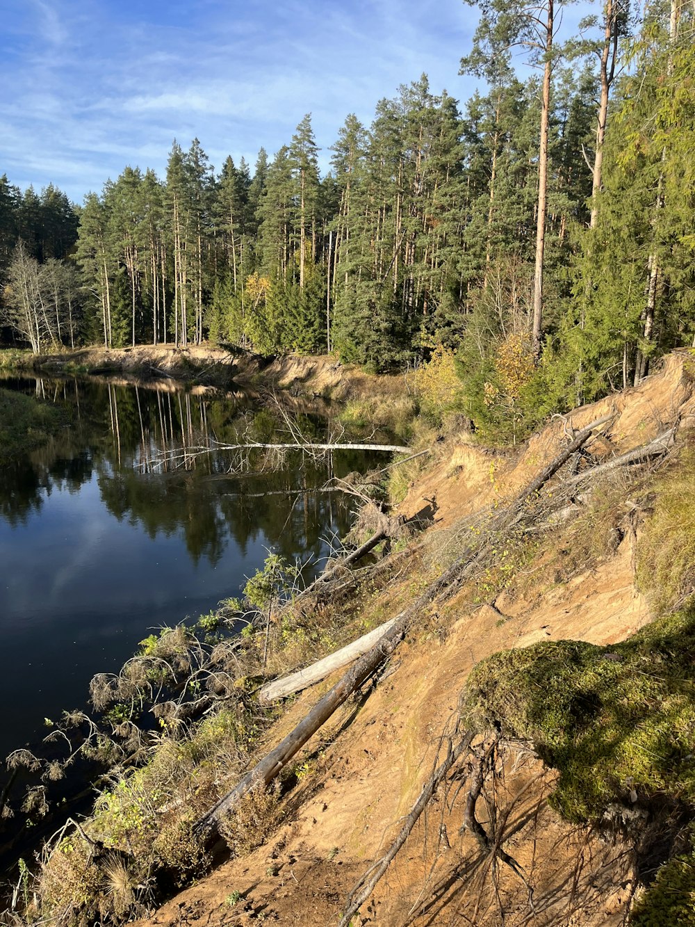 a river with trees on the side