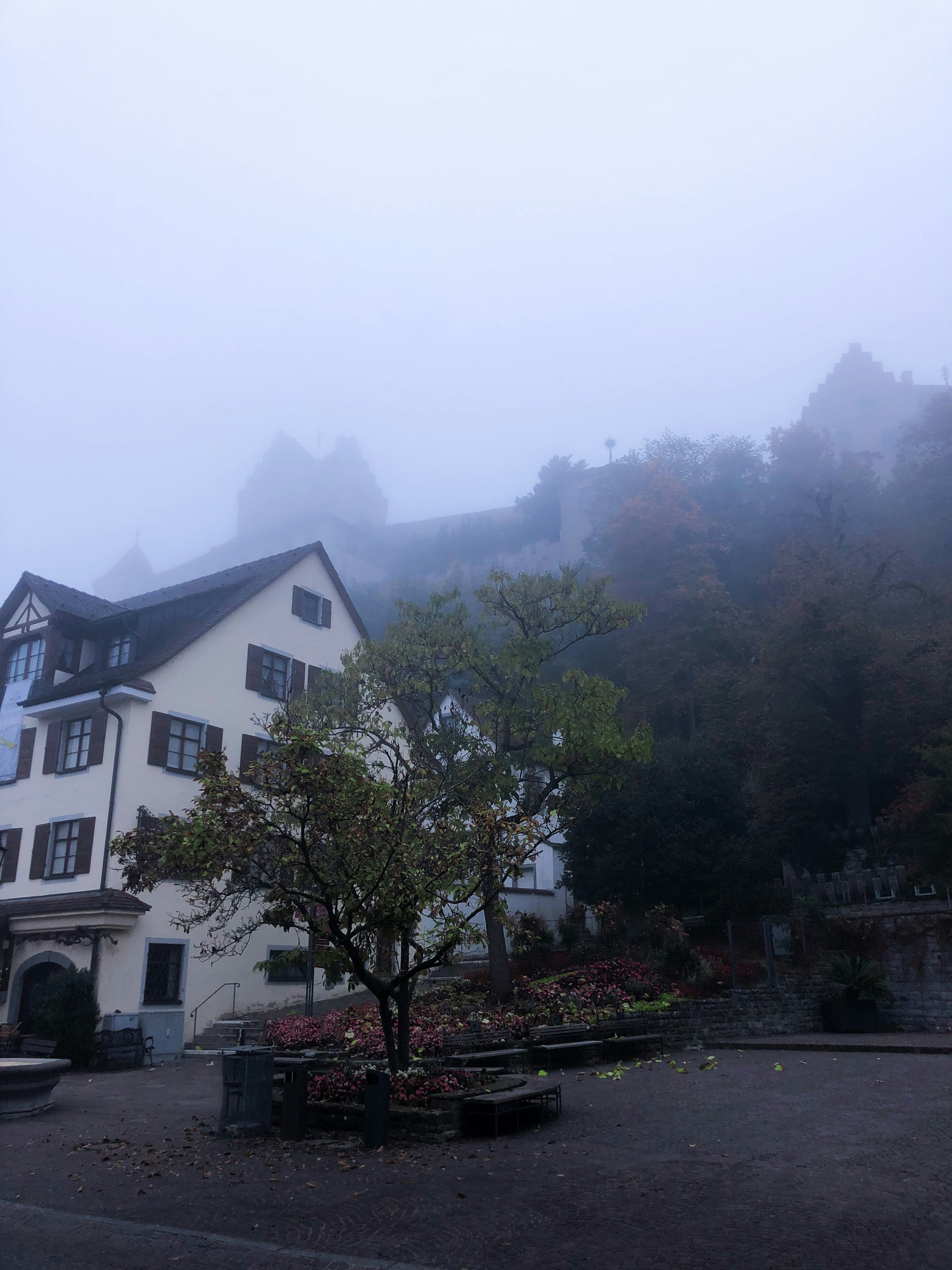 a building with trees in the back