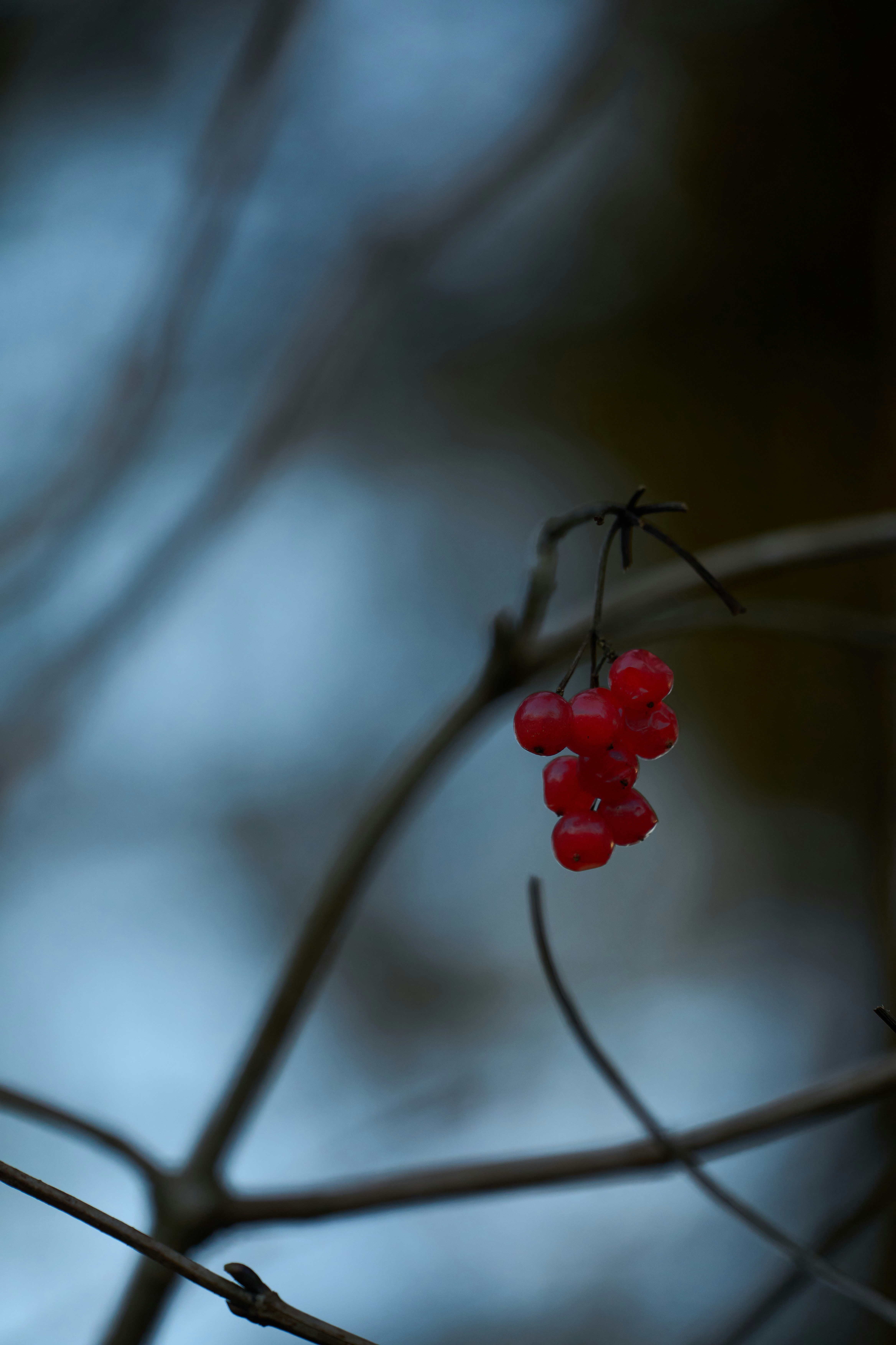 Photo by wolfgang_hasselmann
