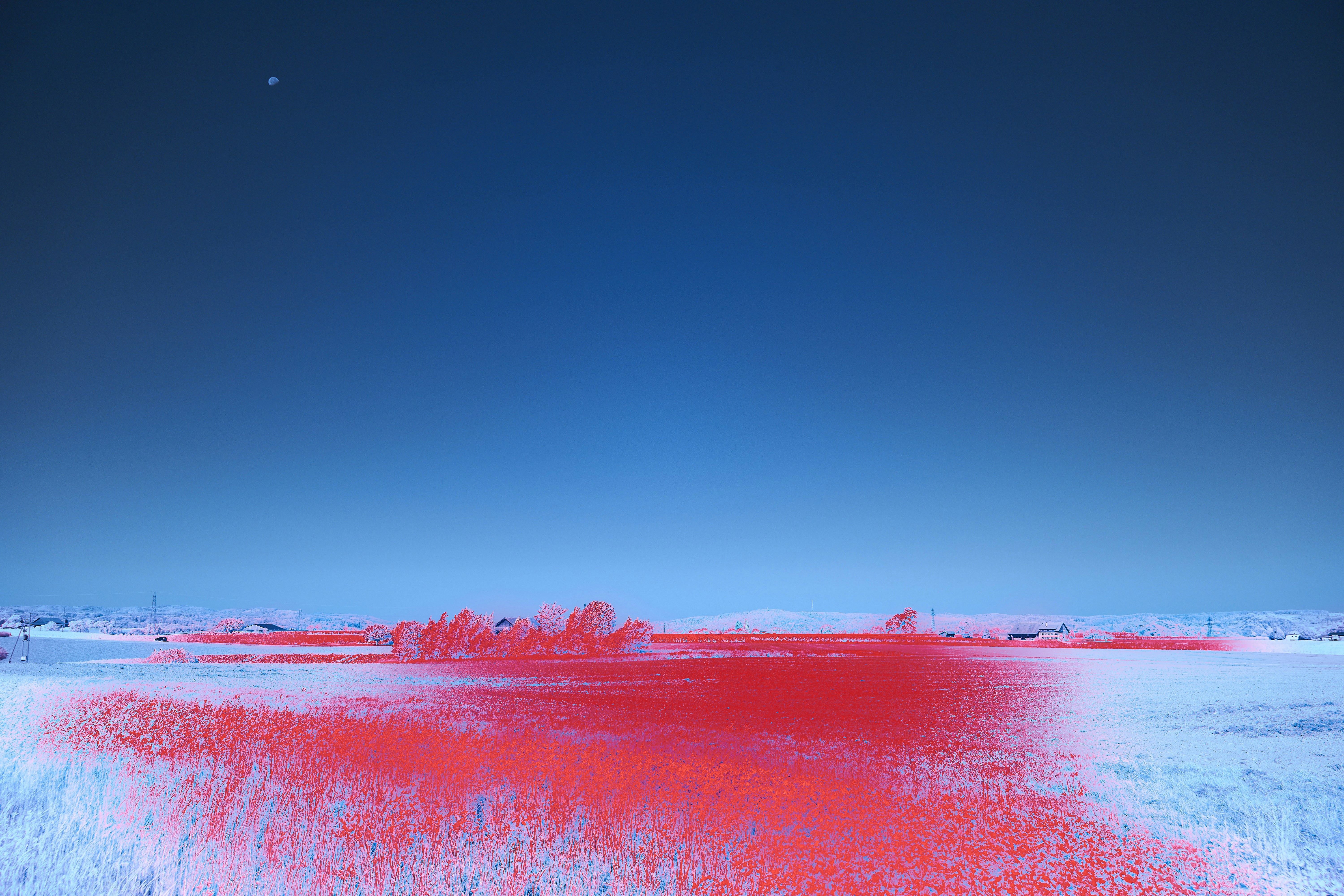 Photo by wolfgang_hasselmann