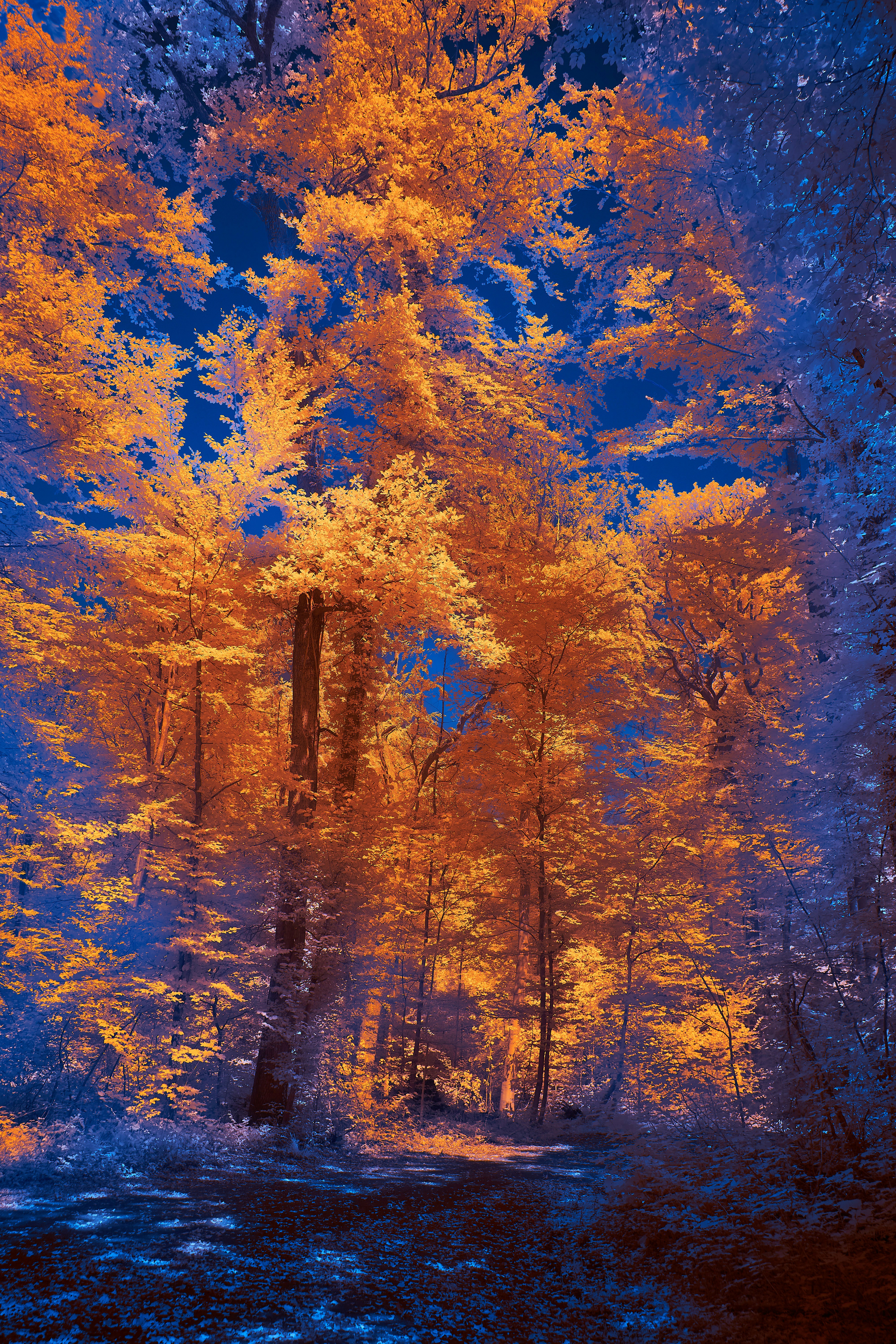 Photo by wolfgang_hasselmann