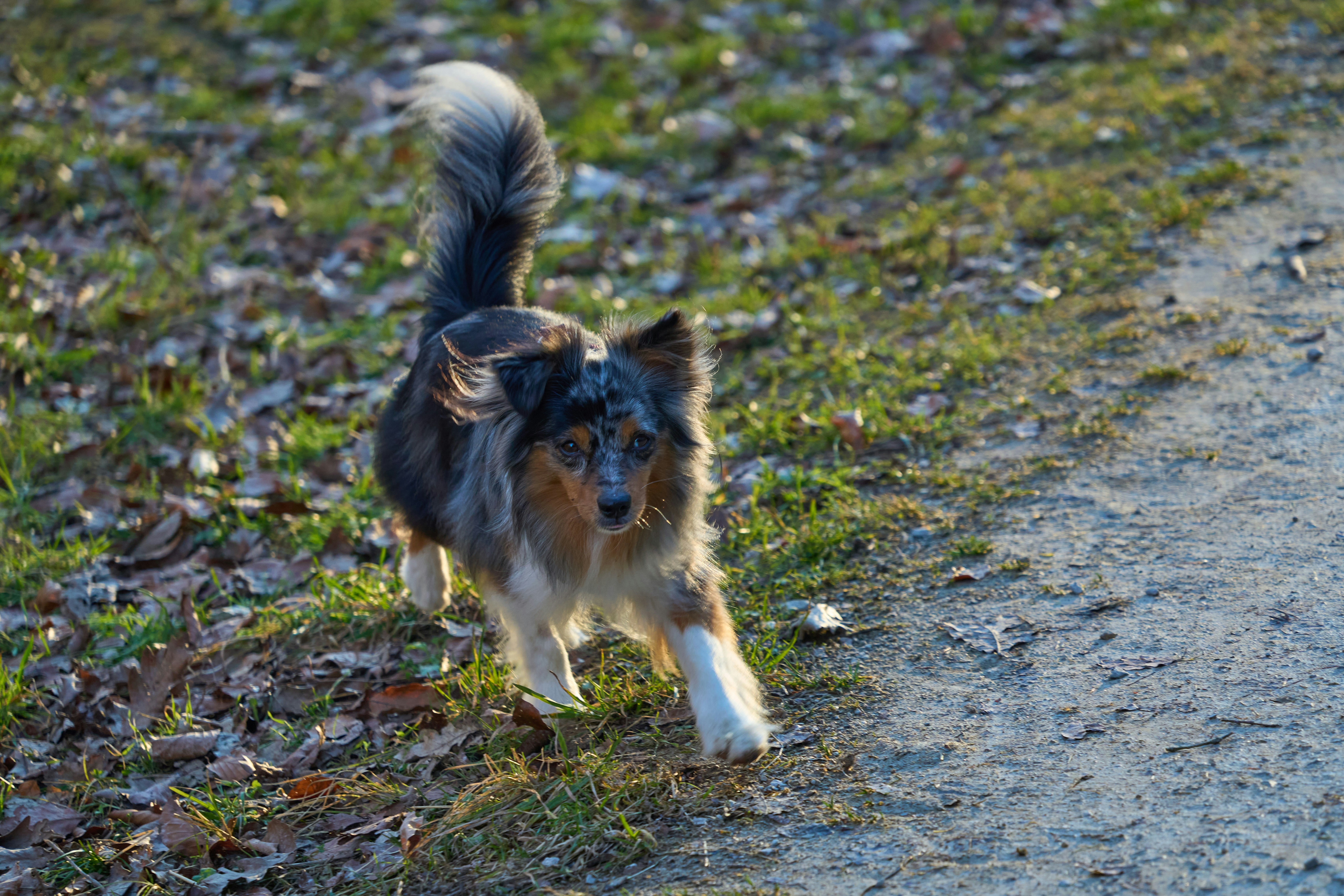 Photo by wolfgang_hasselmann