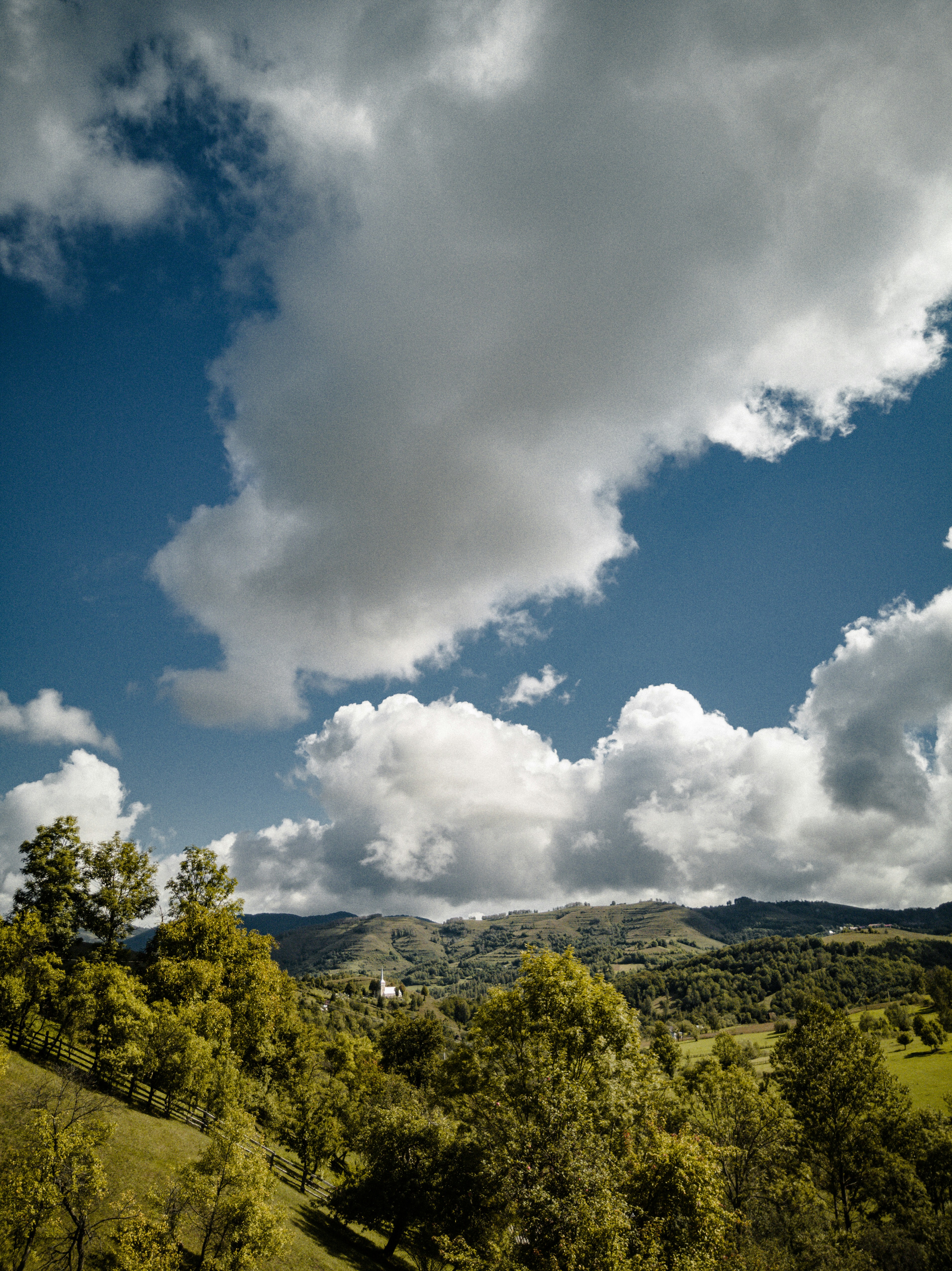 Photo by raluca_cotoara