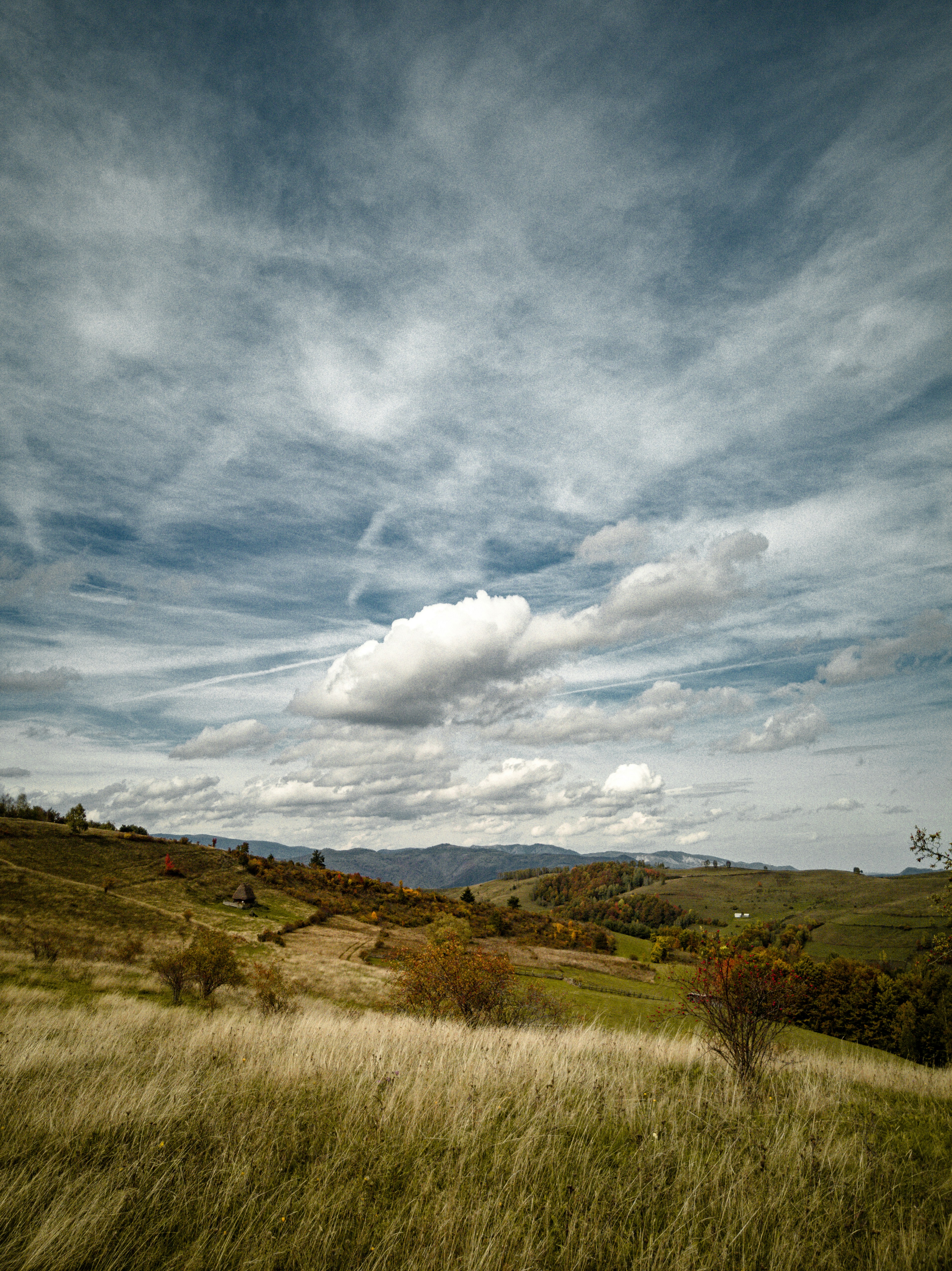 a grassy field with hills in the background
