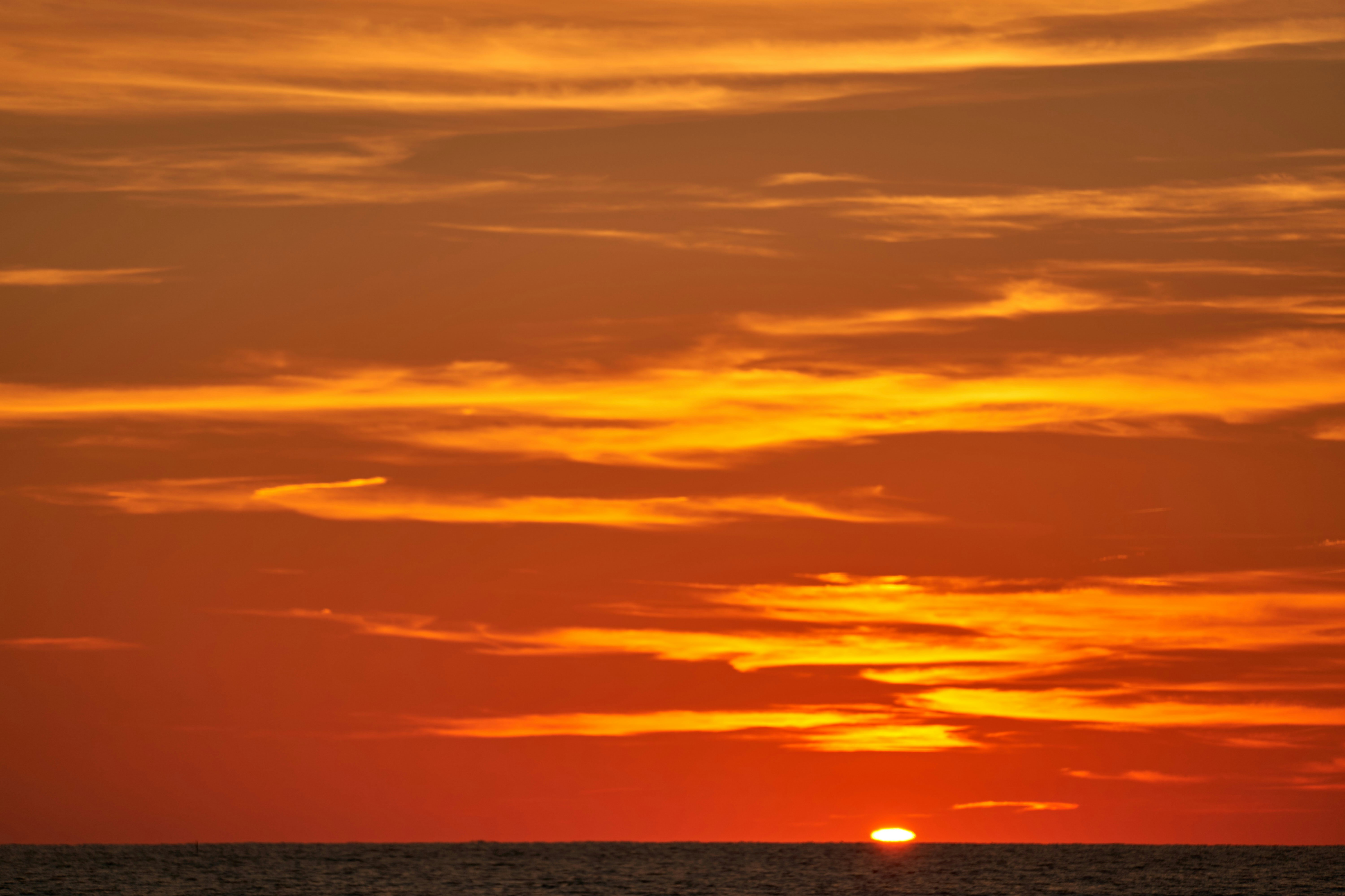 Photo by wolfgang_hasselmann