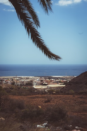 a town by the sea