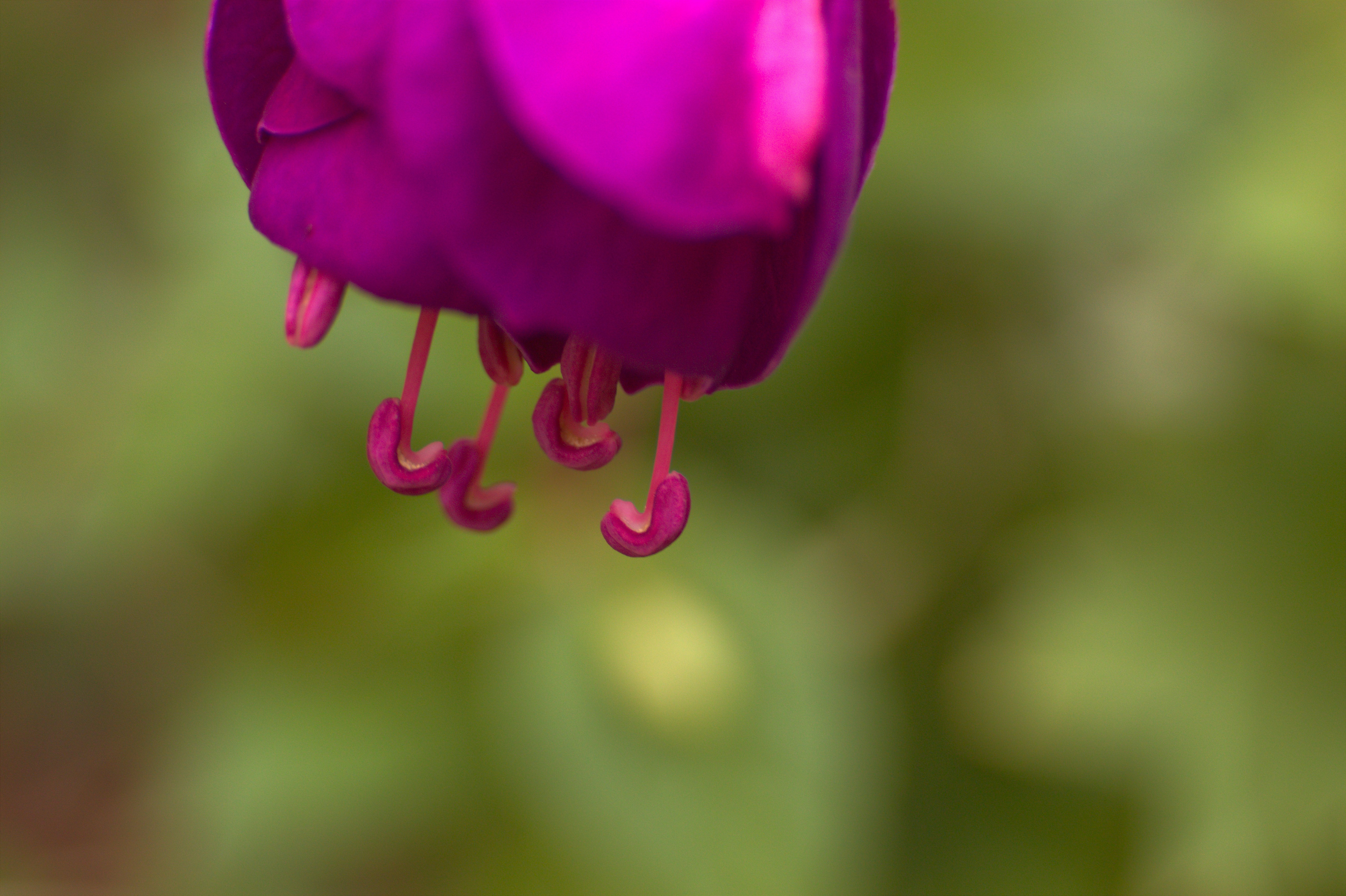 Photo by fidgetingferdie