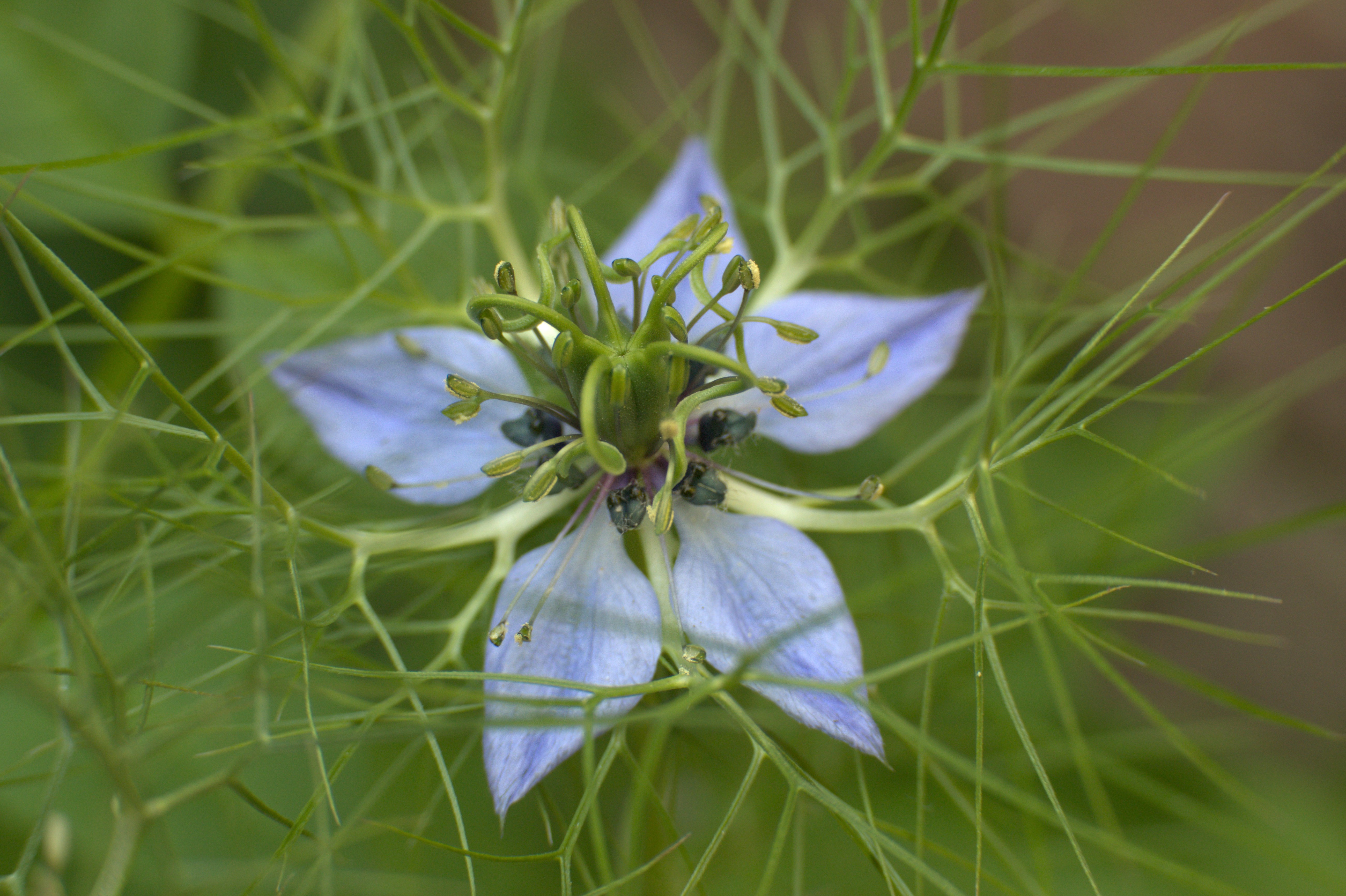 Milton Keynes cityscape