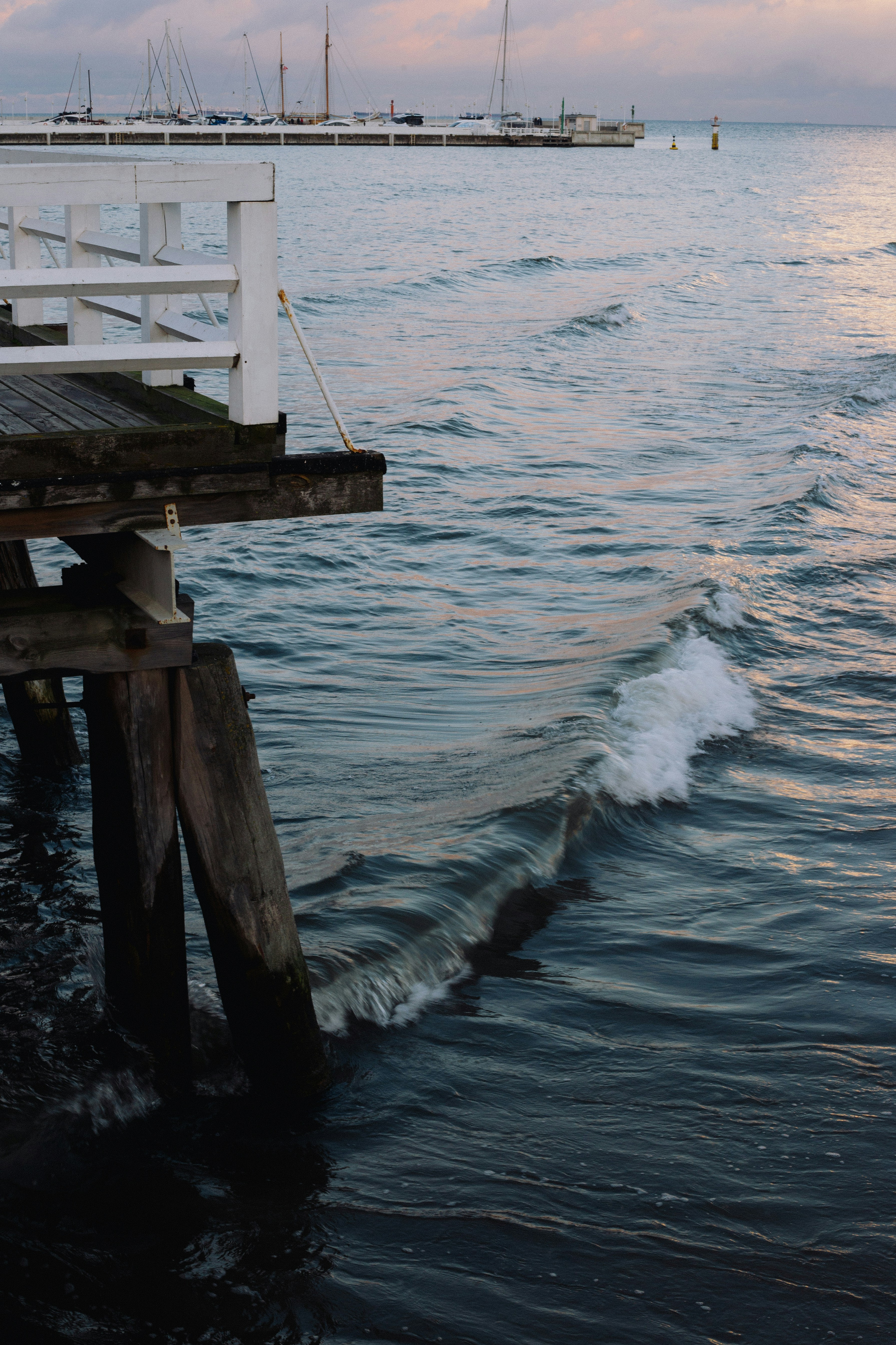 Photo by tatas_digitals