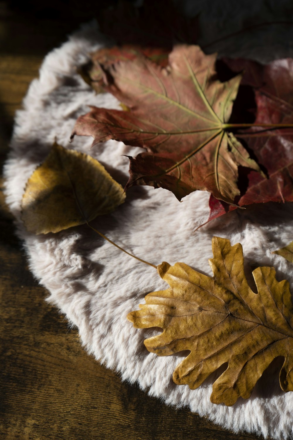 a group of leaves on a table