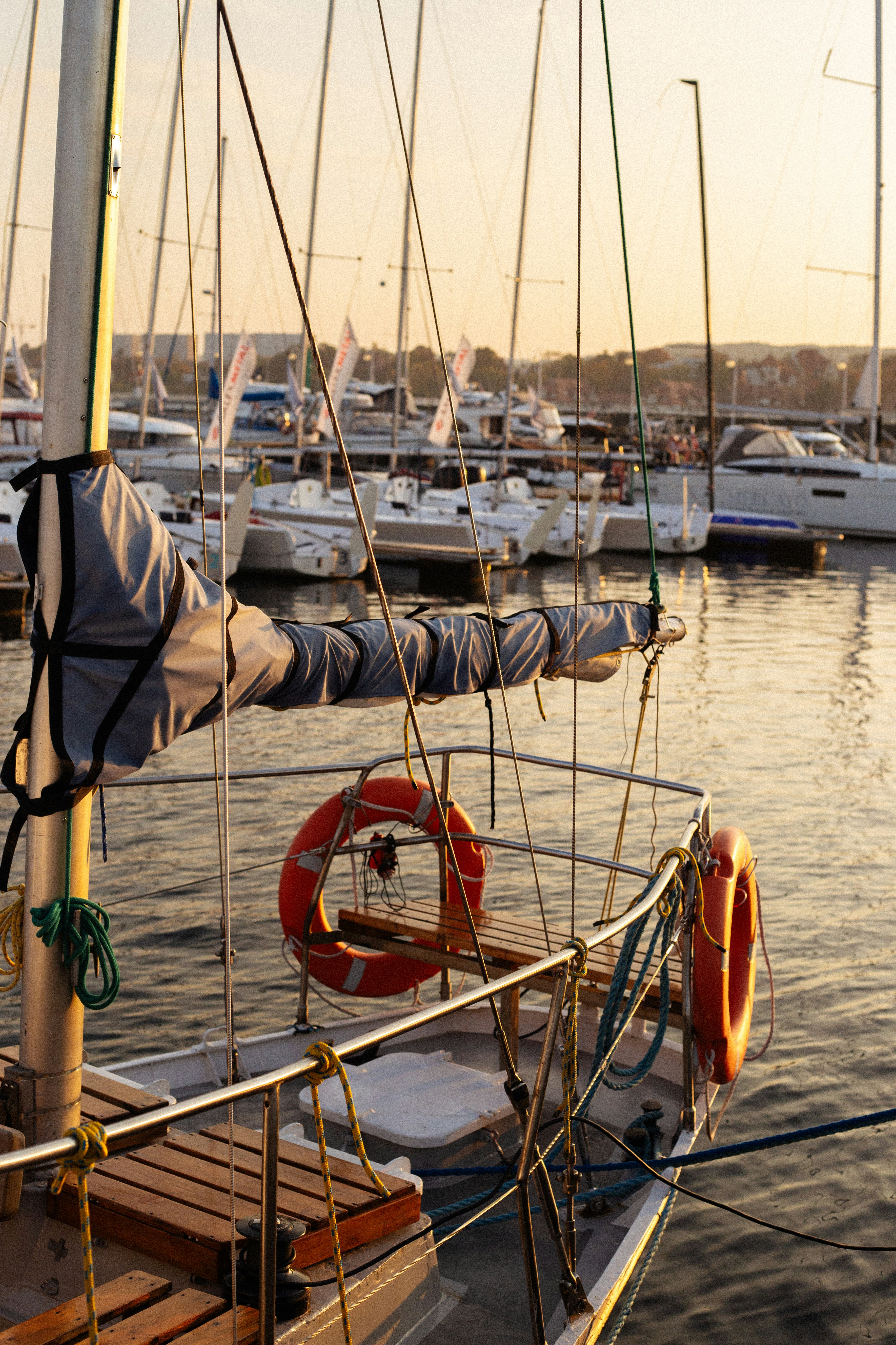 Photo by tatas_digitals