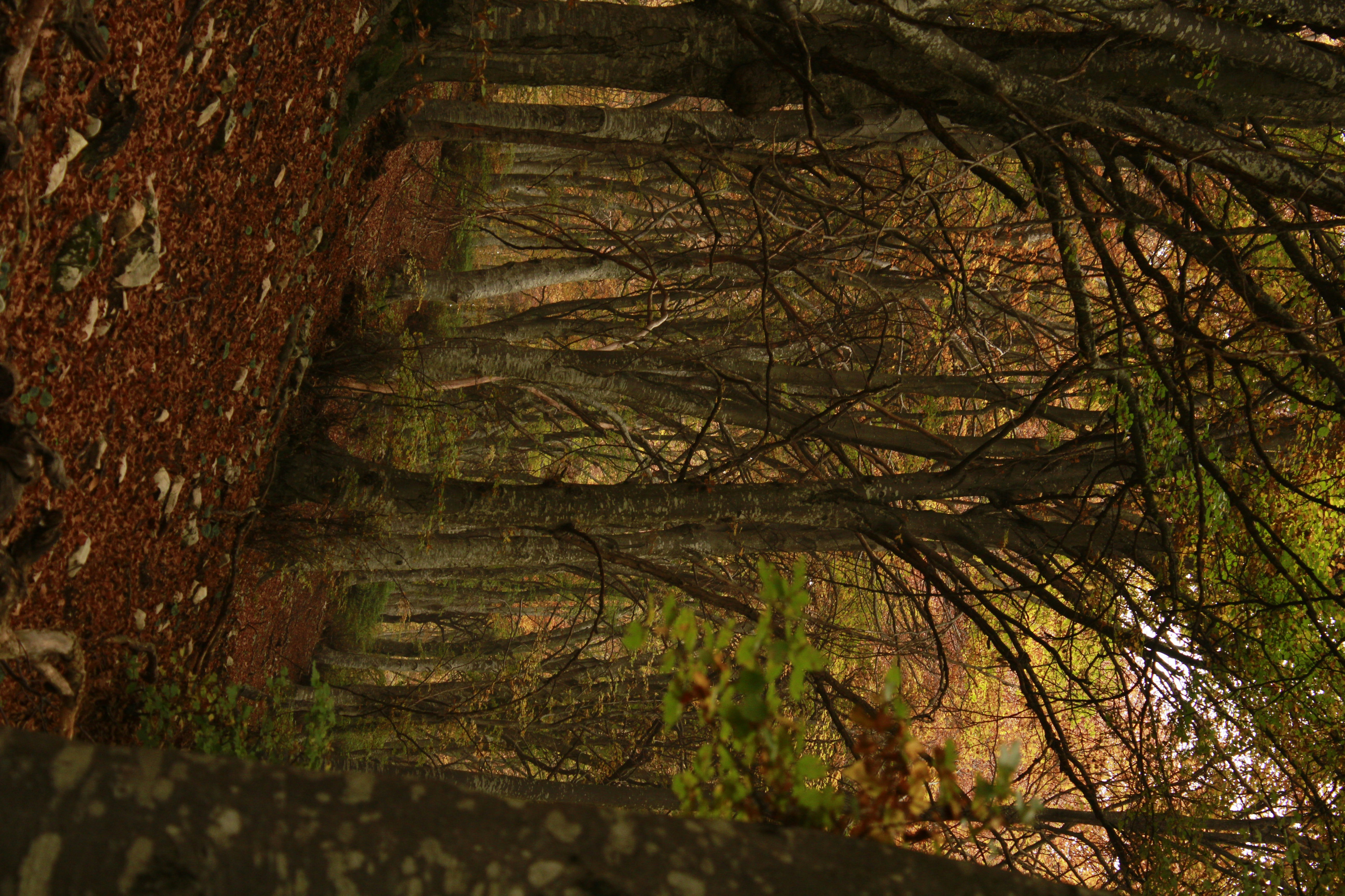 Photo by photosbyedoardo