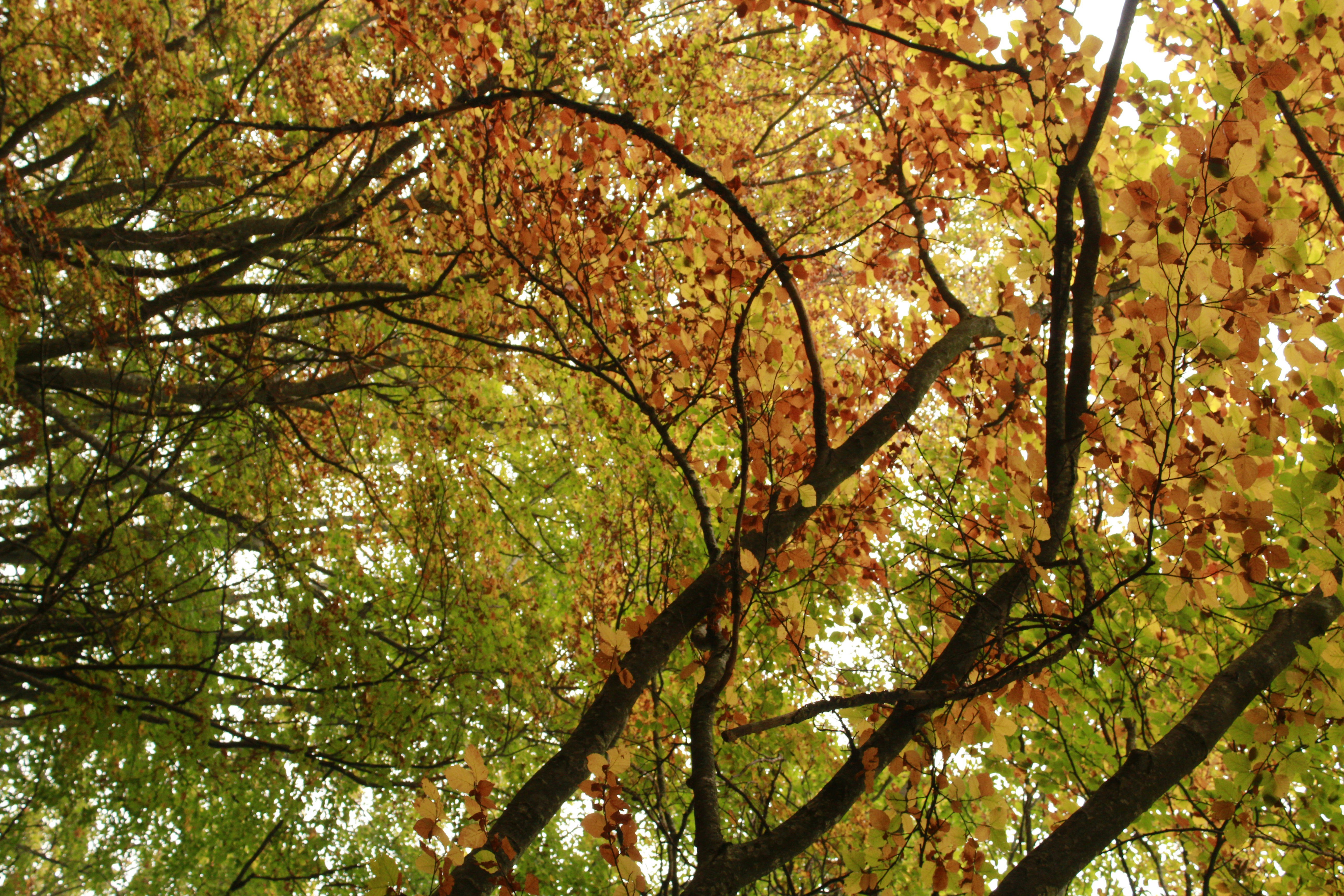 Photo by photosbyedoardo