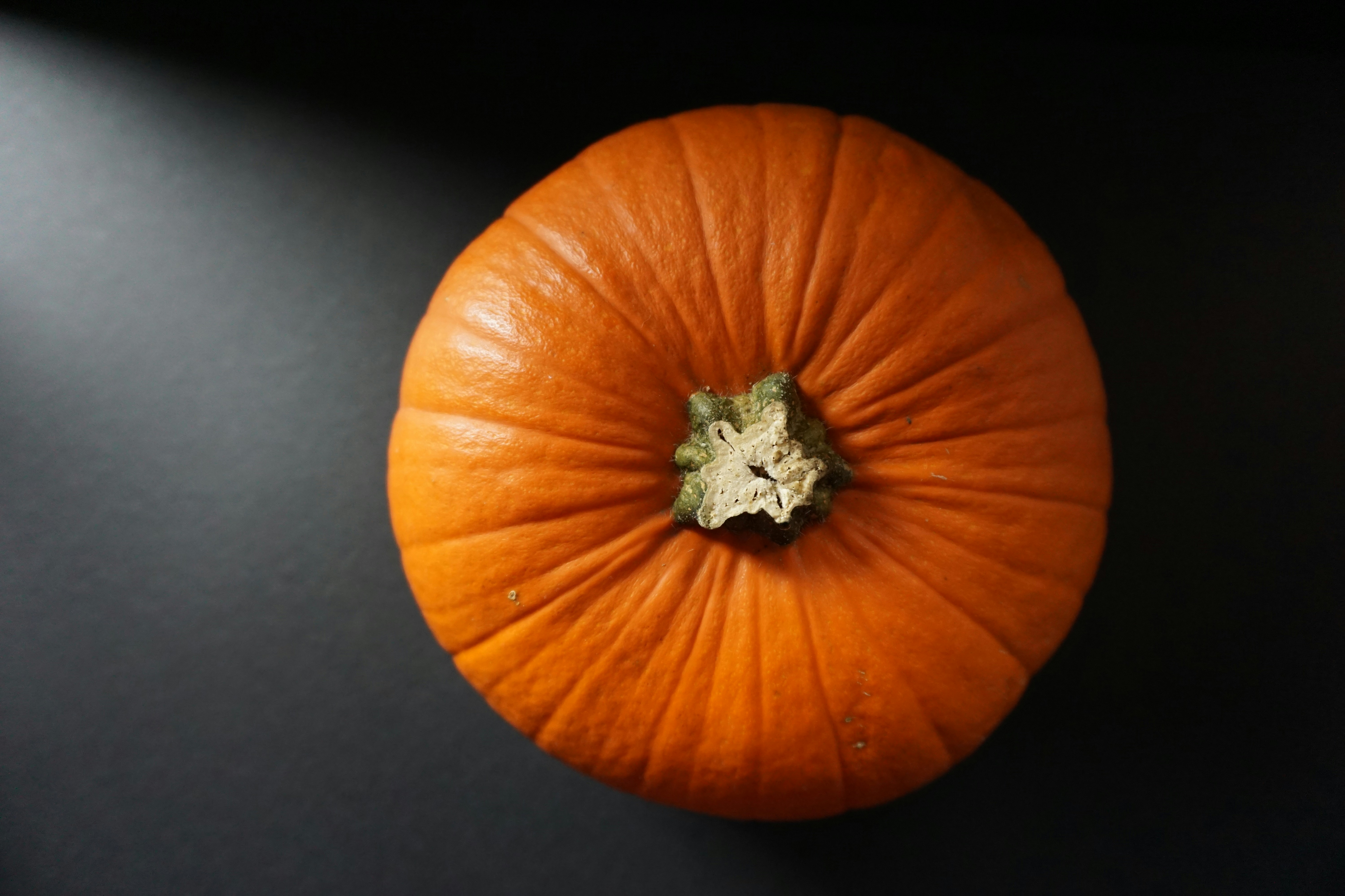 Photo by five_oclock_photo