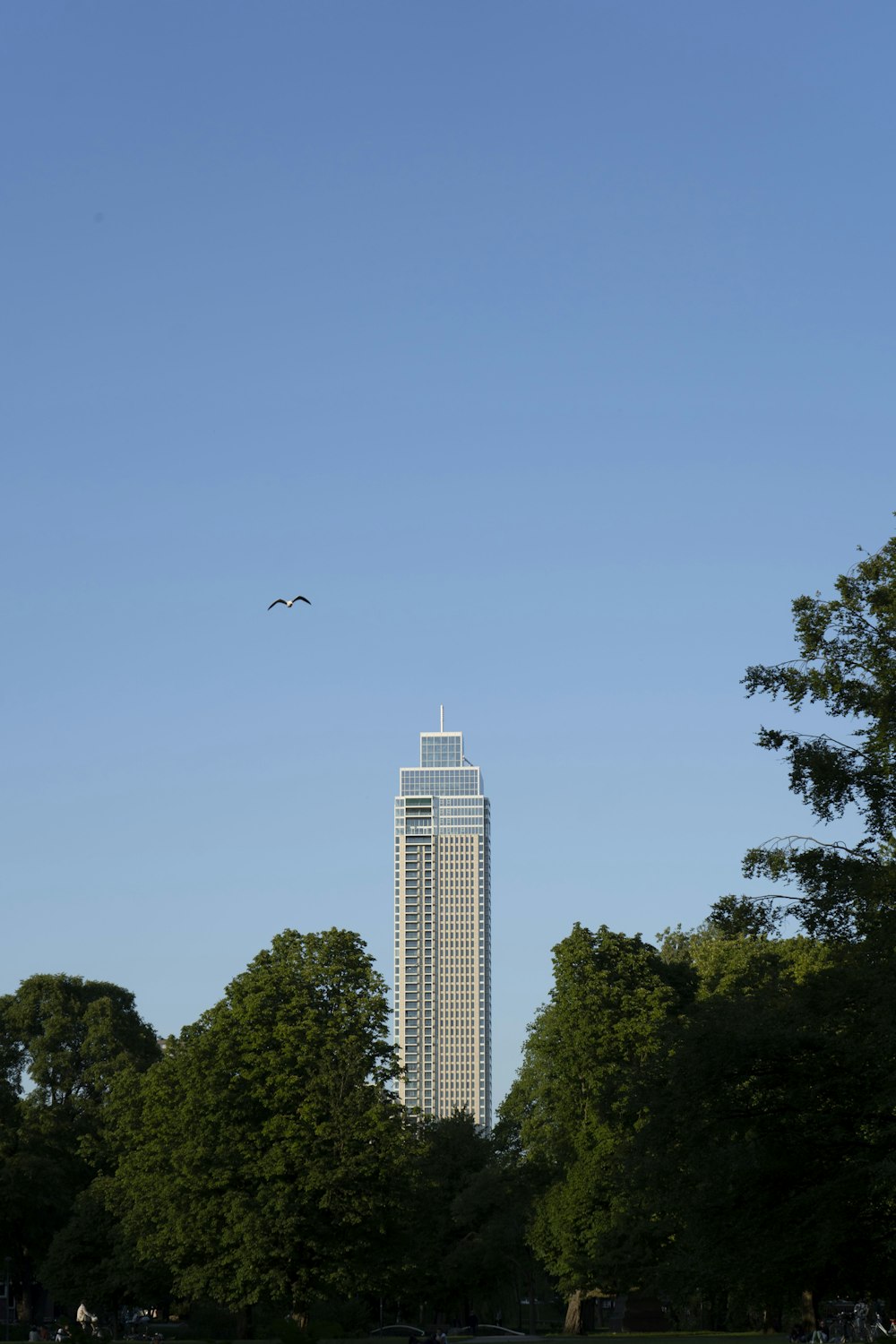 a bird flying over a tall building