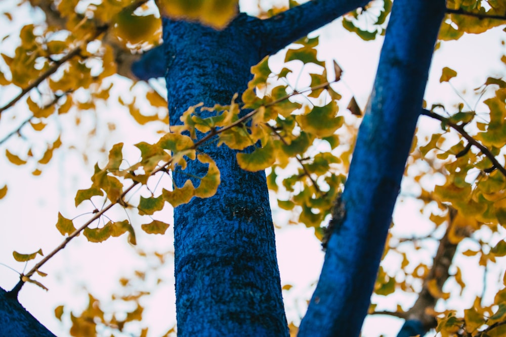 a blue pole with yellow leaves