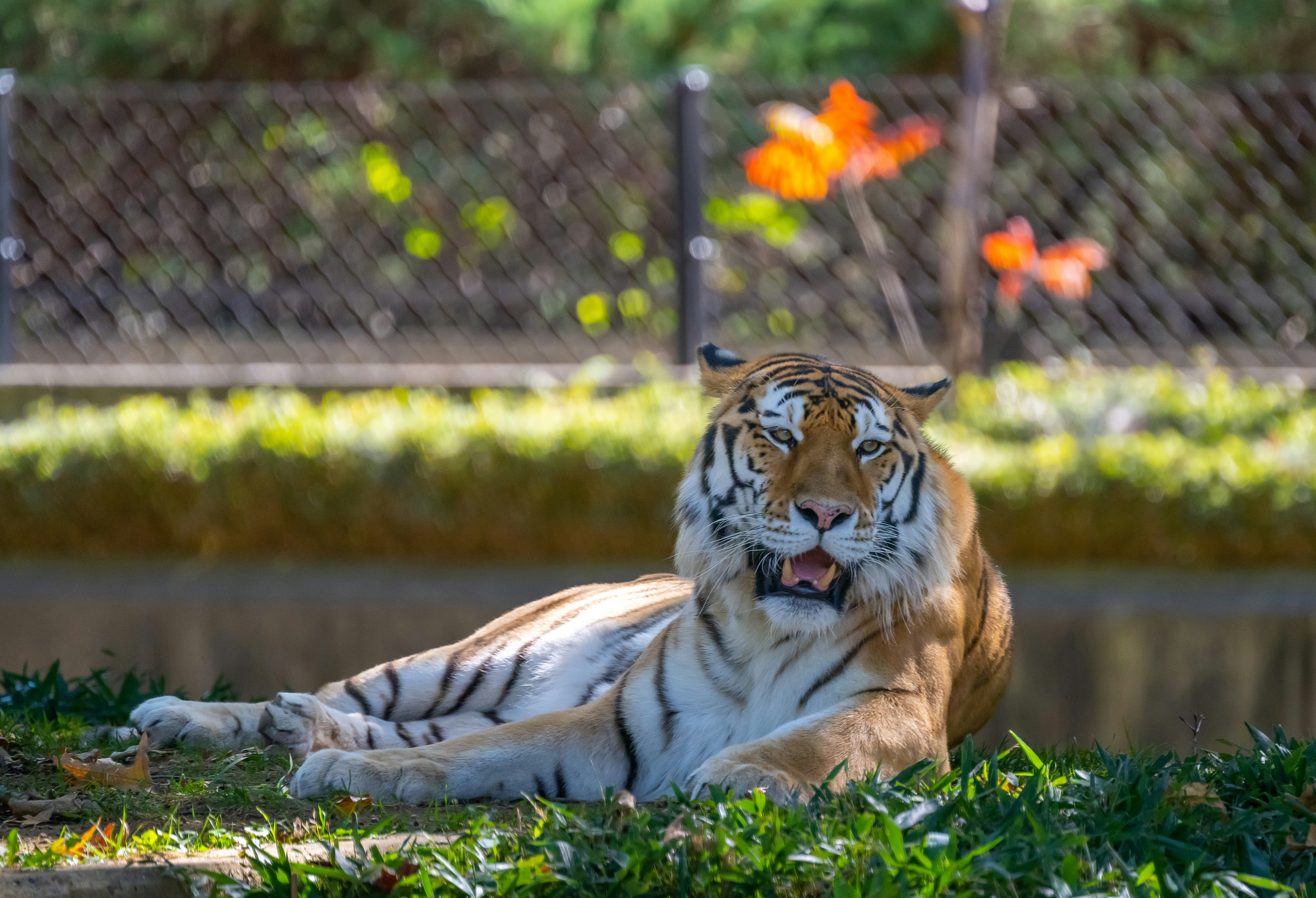 Smithsonian National Zoological Park photo 3