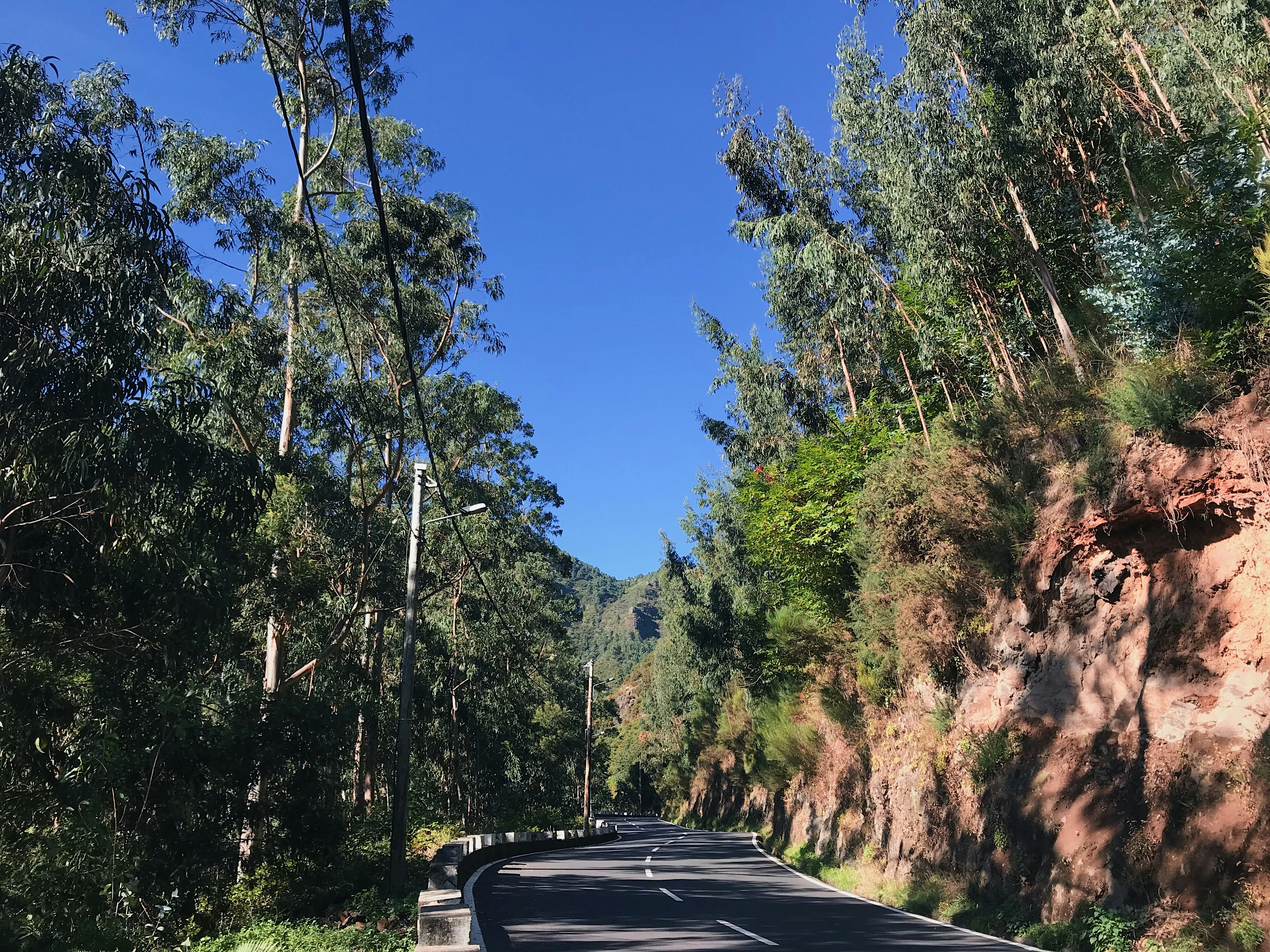 Photo by dianafrancisca020