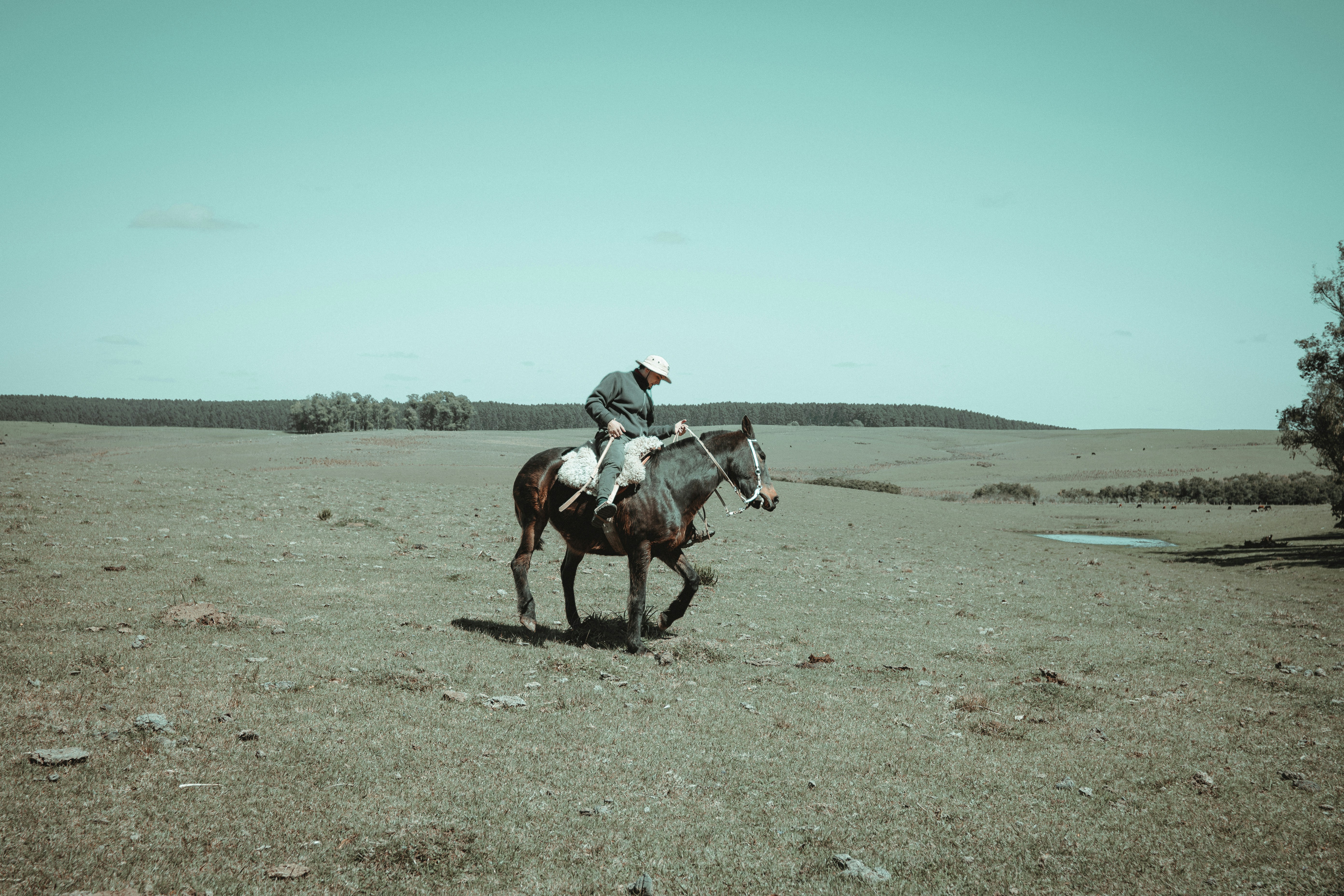 Photo by gonchifacello