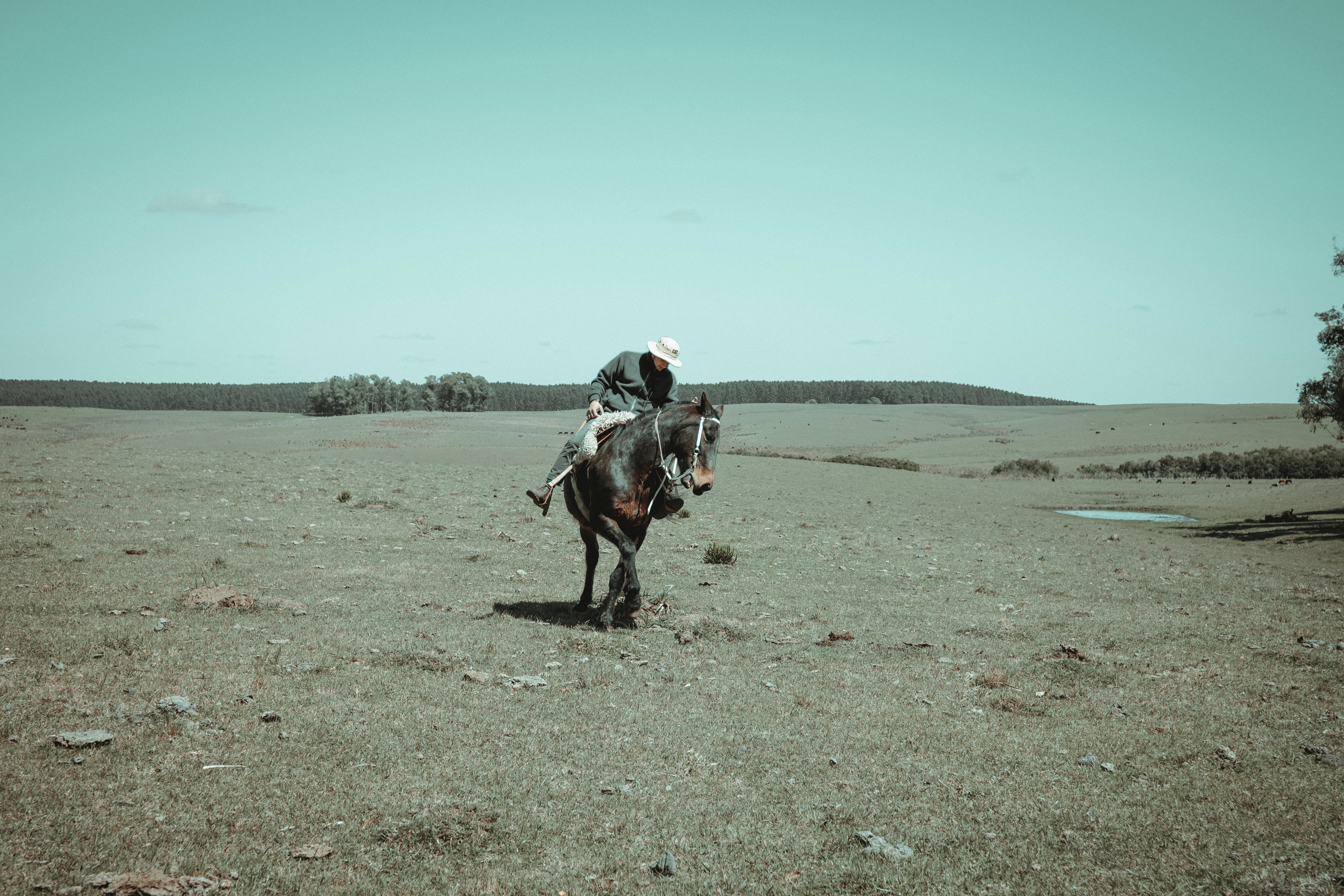 Photo by gonchifacello