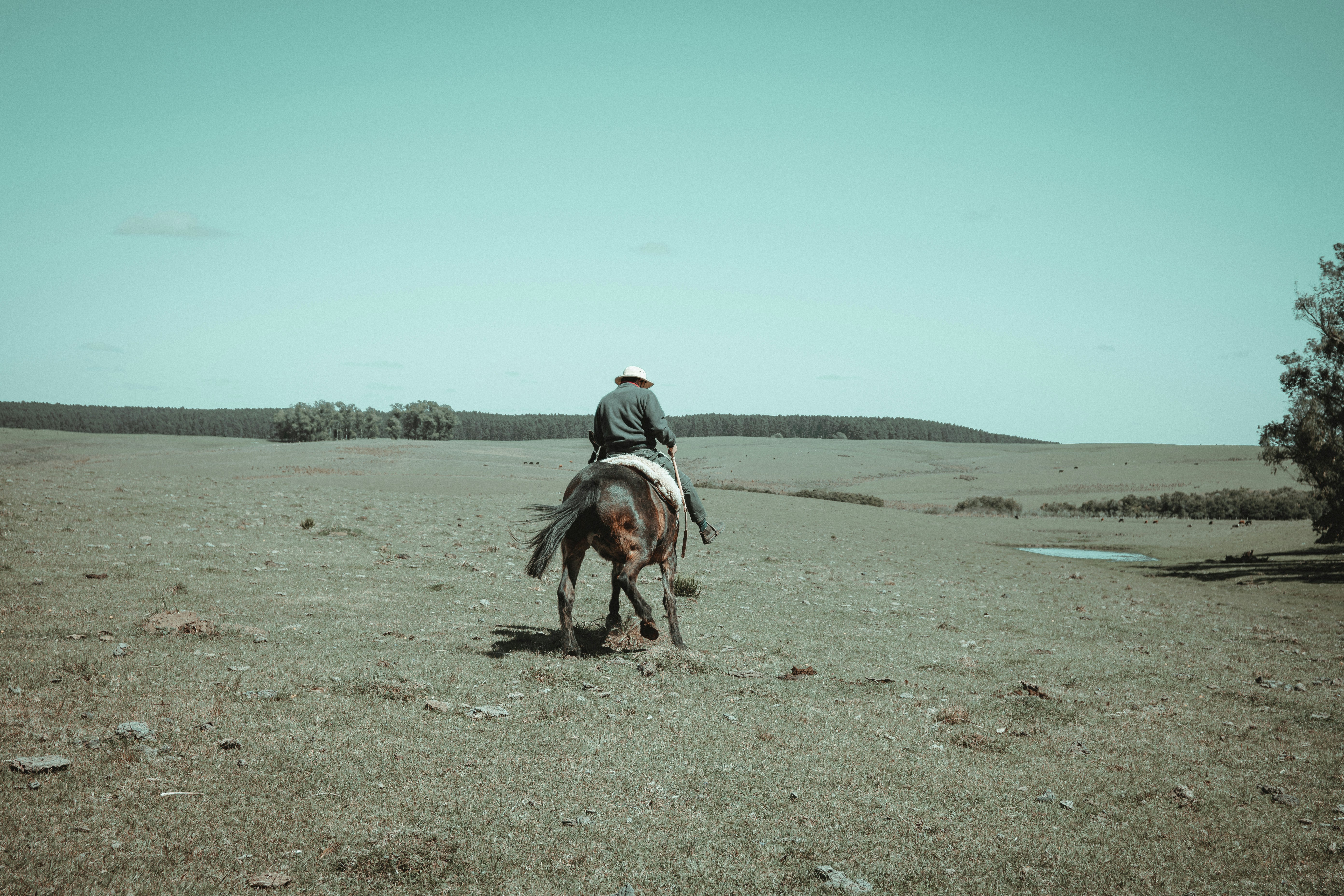 Photo by gonchifacello