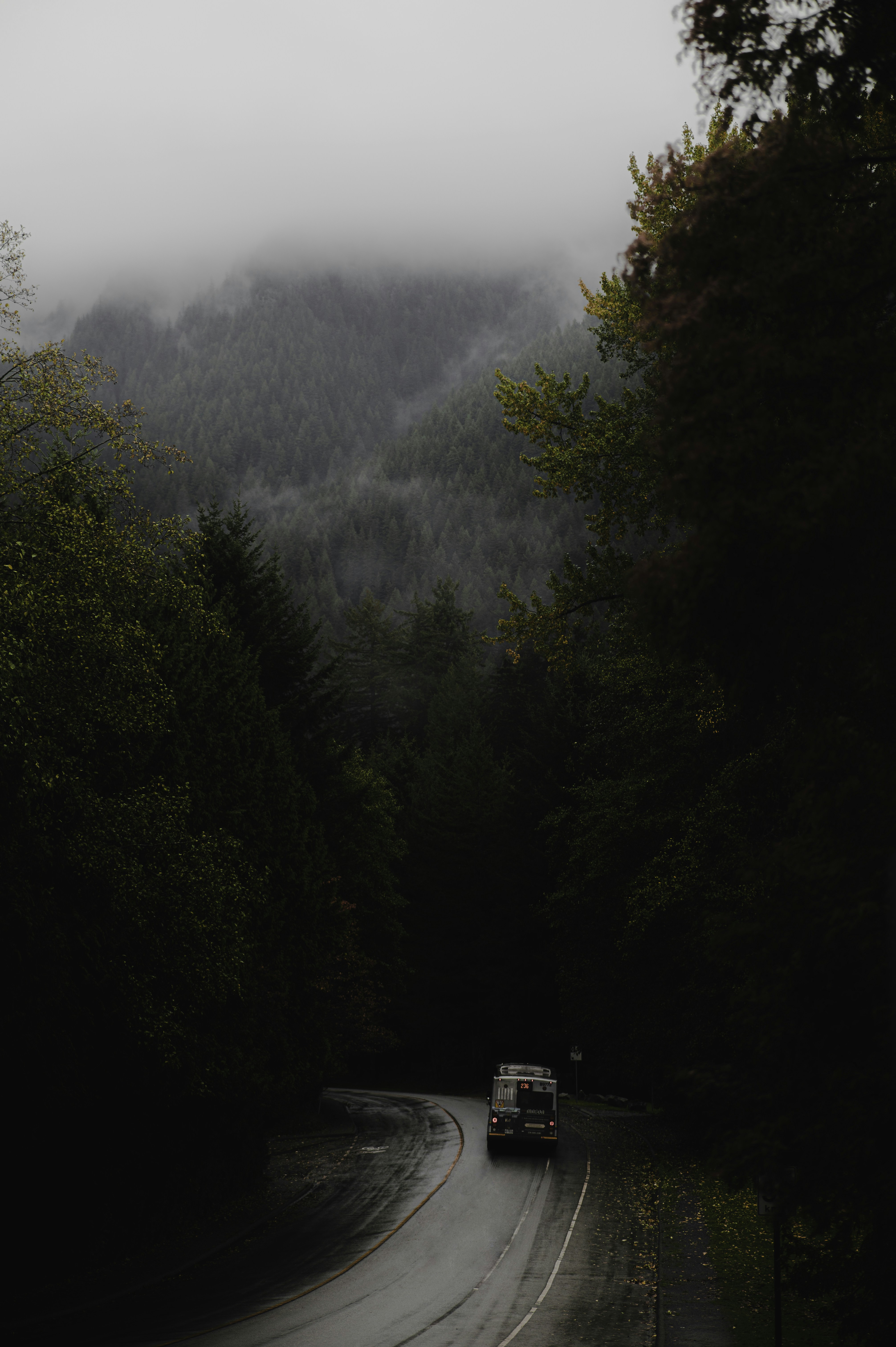 Photo by ryunosuke_kikuno