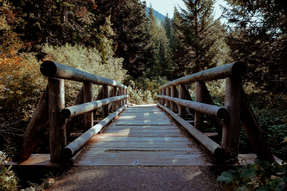 a wooden bridge over a river