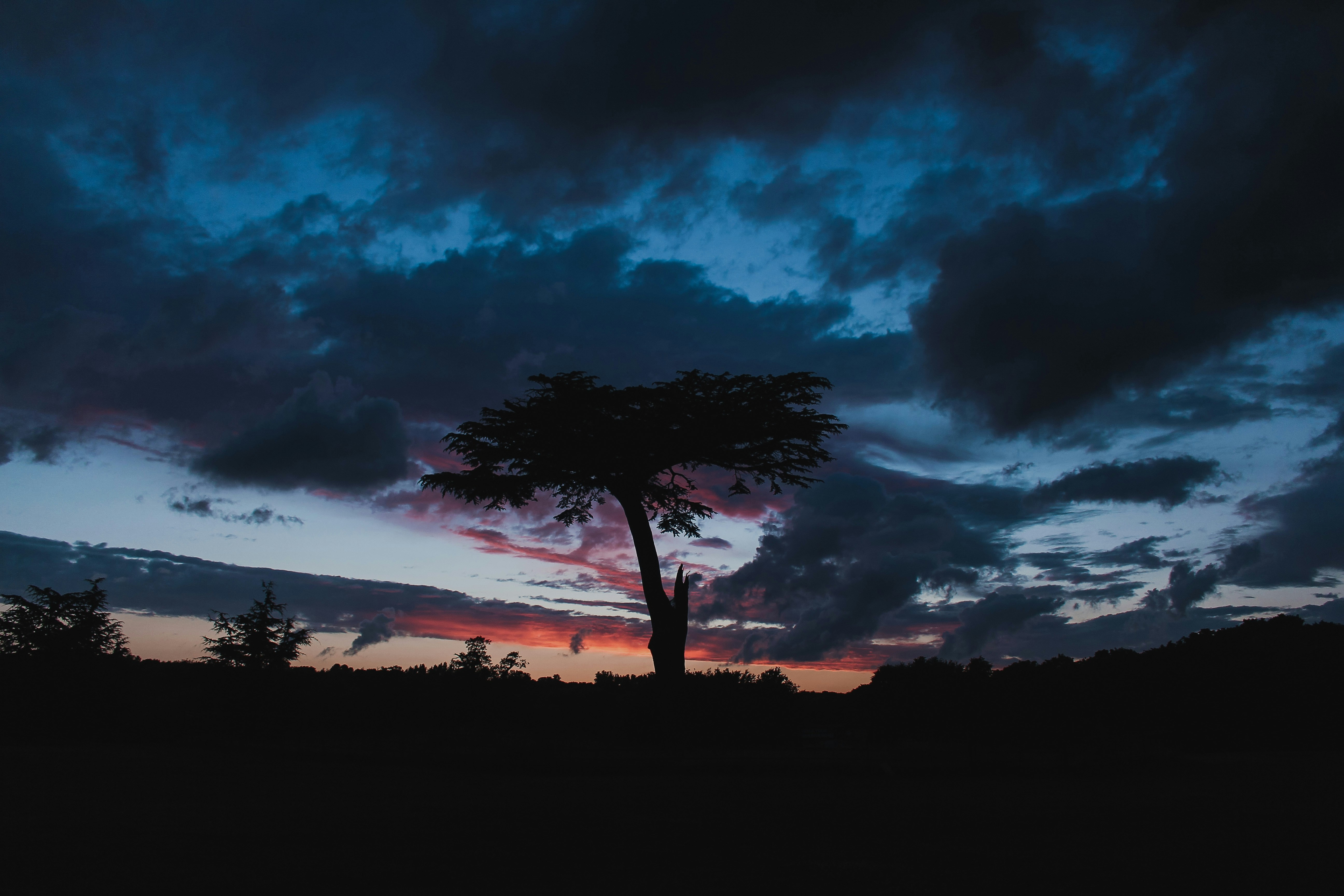 Photo by ianreve
