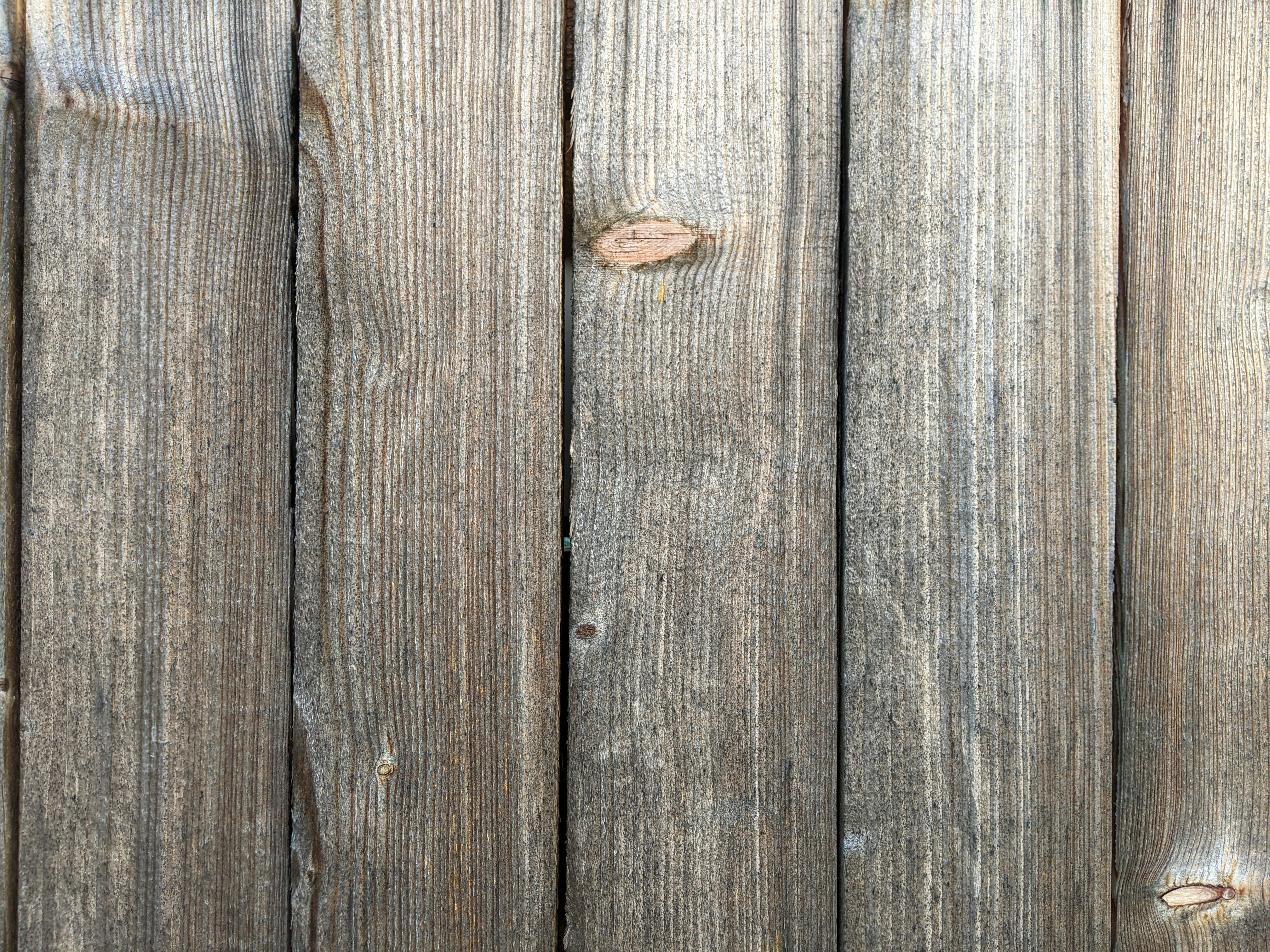 Photo by conspiretothrive