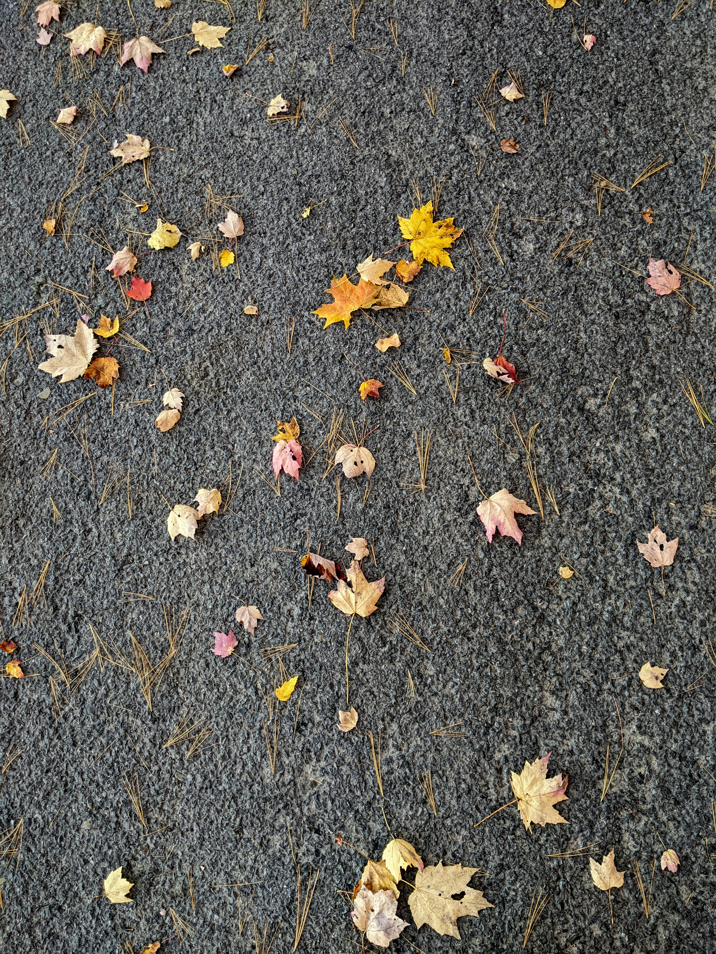 Photo by conspiretothrive