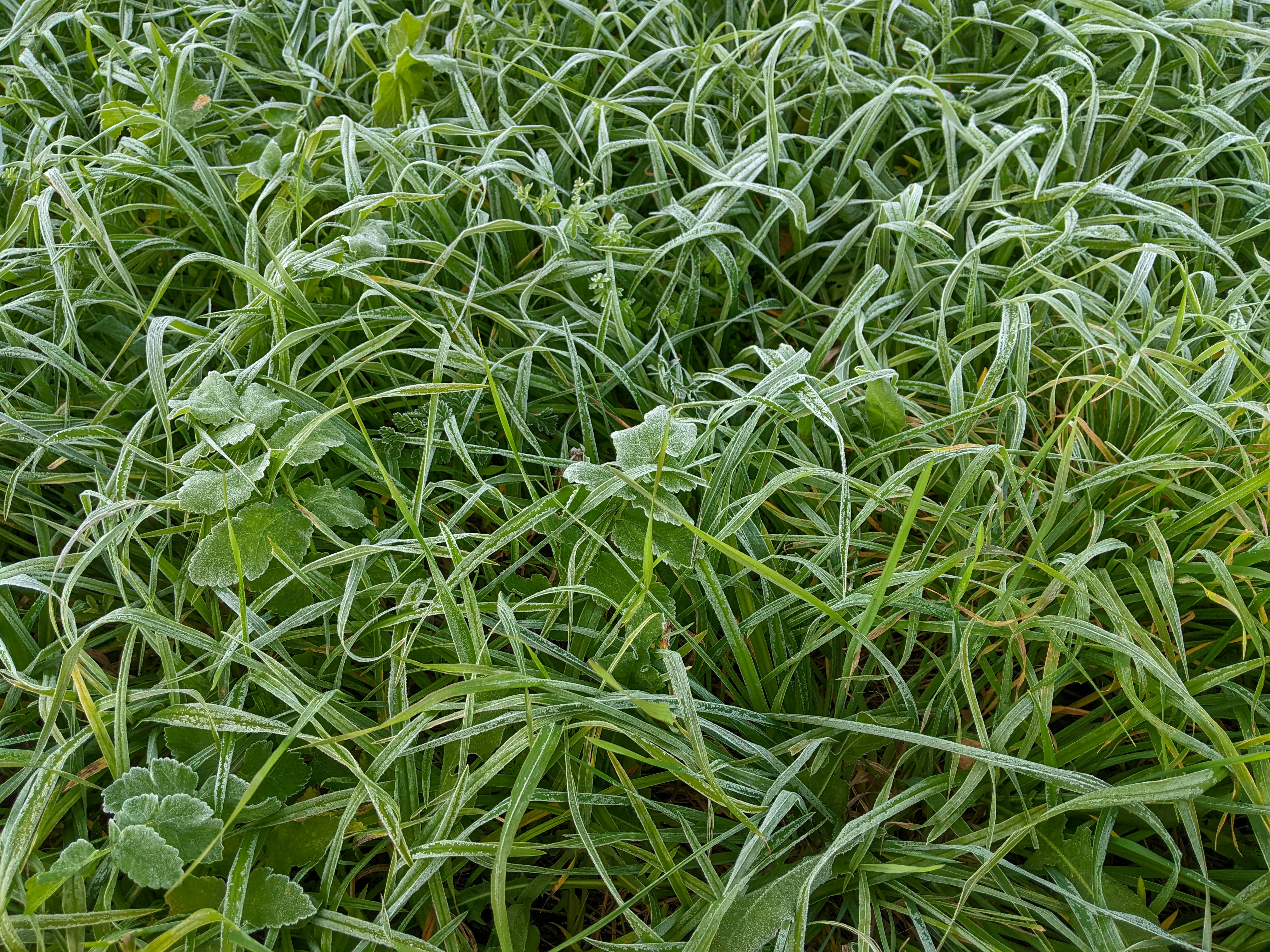 Photo by conspiretothrive