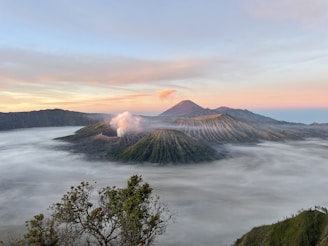 a body of water with trees and mountains in the background with Mount Bromo in the background