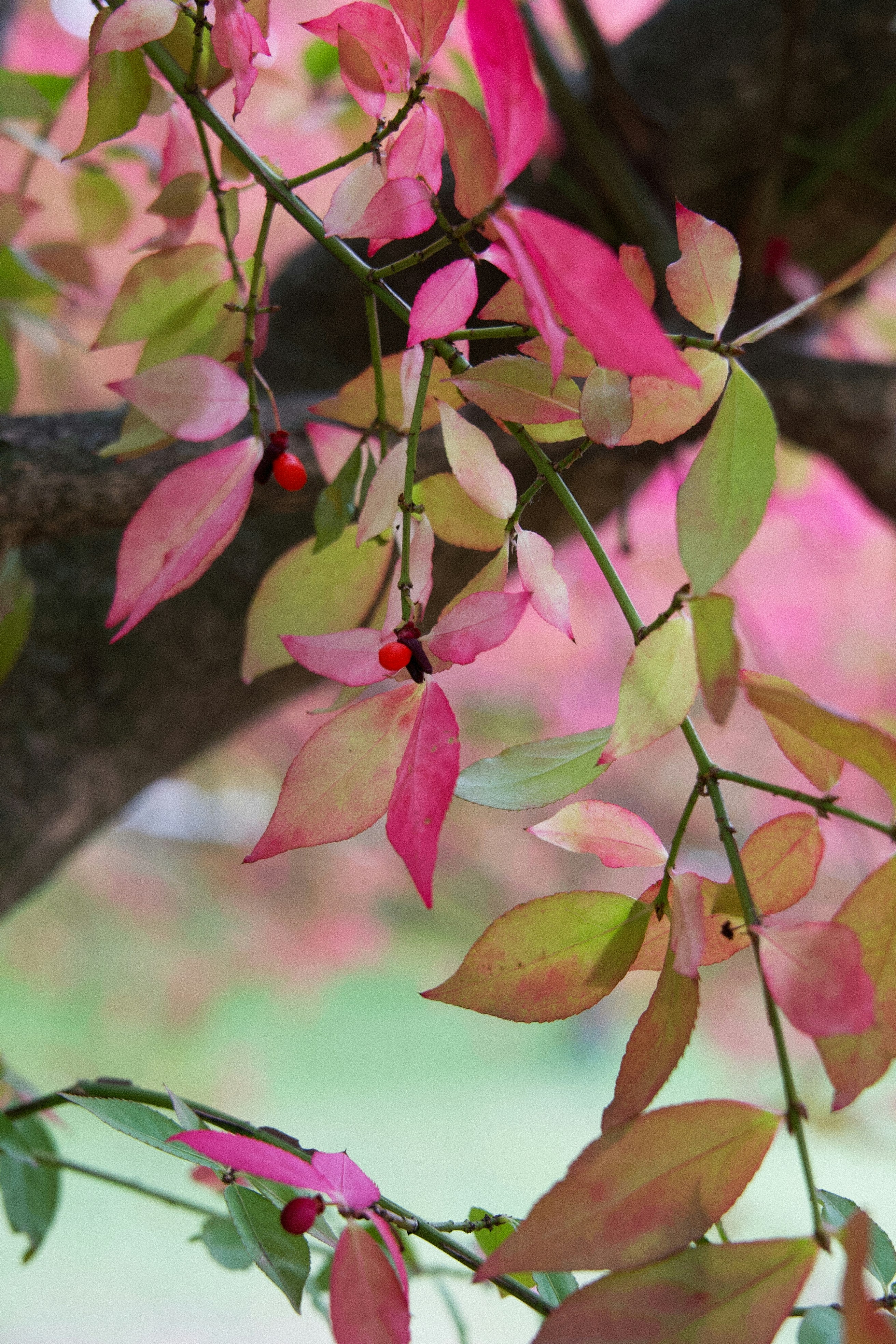 Photo by ycbrphotography