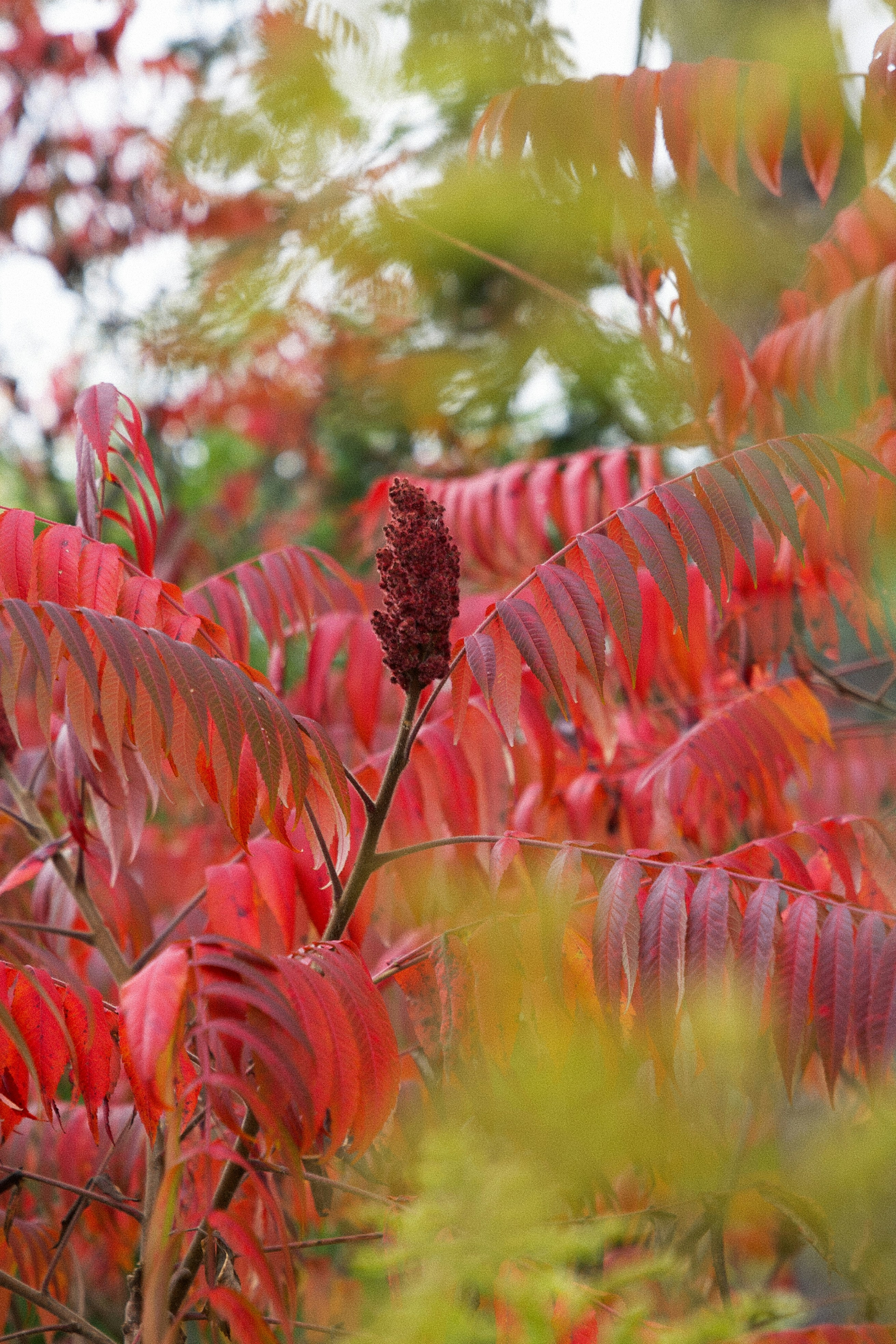 Photo by ycbrphotography