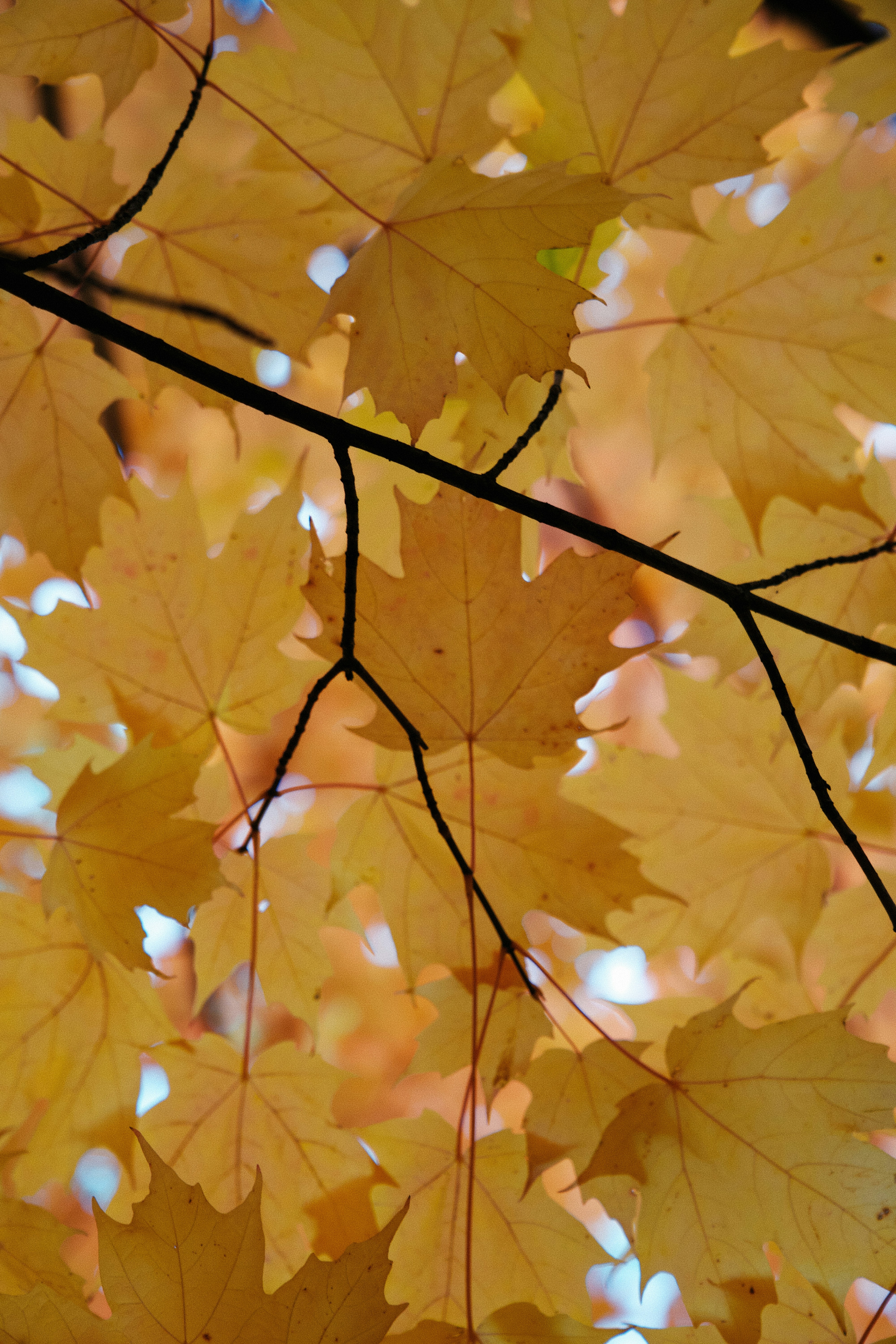 Photo by ycbrphotography