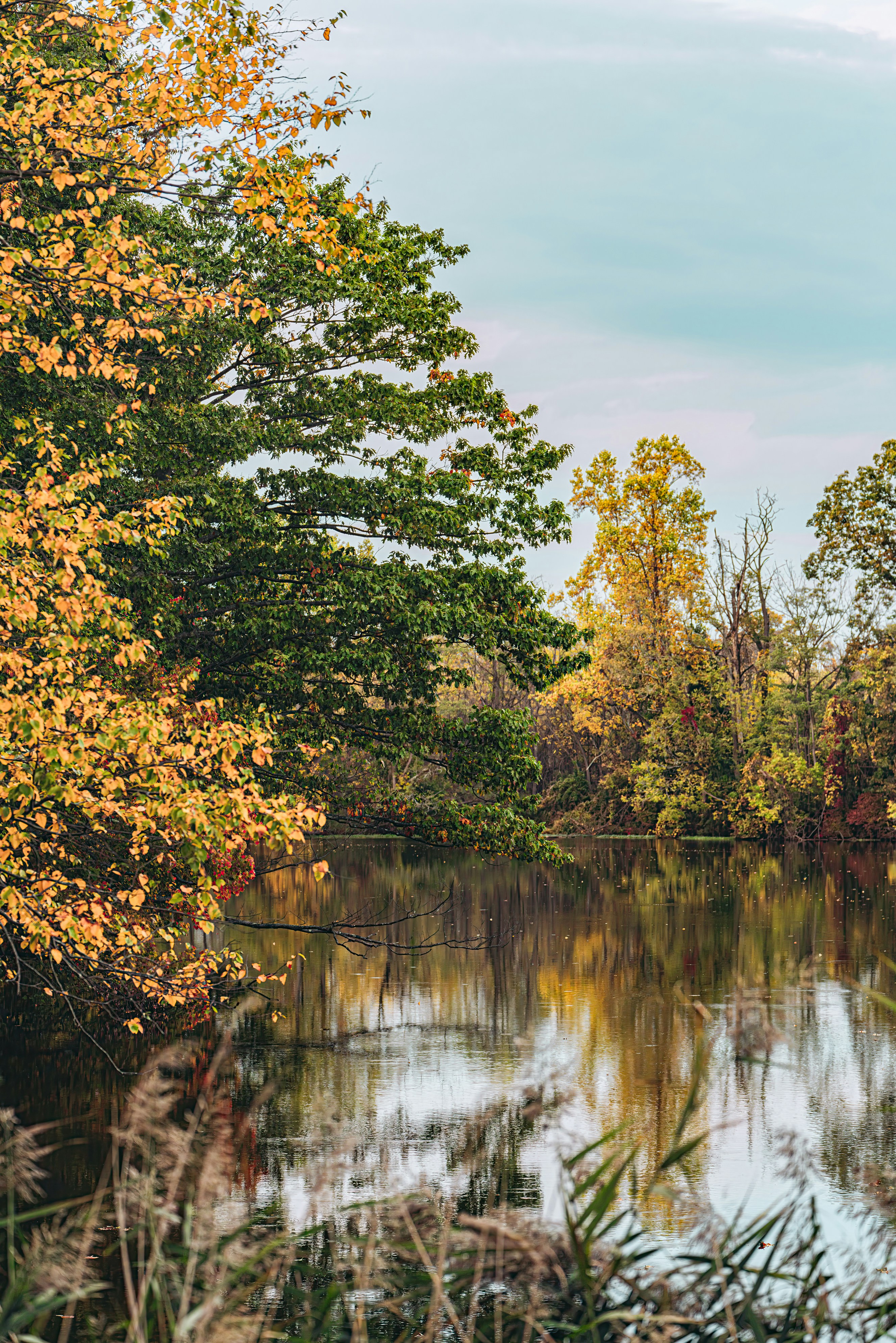 Photo by alphawolff75