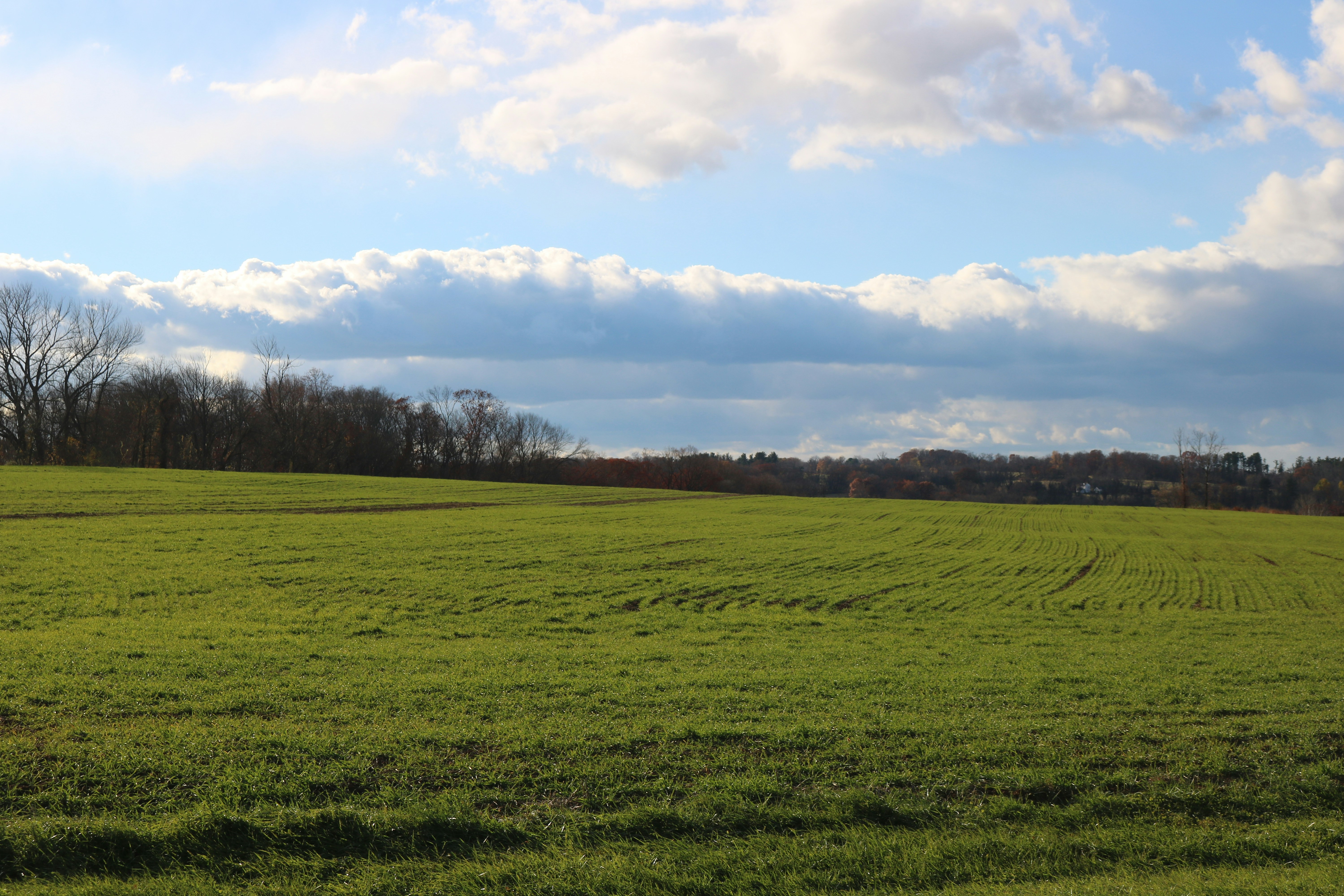 Photo by oliviacdesign